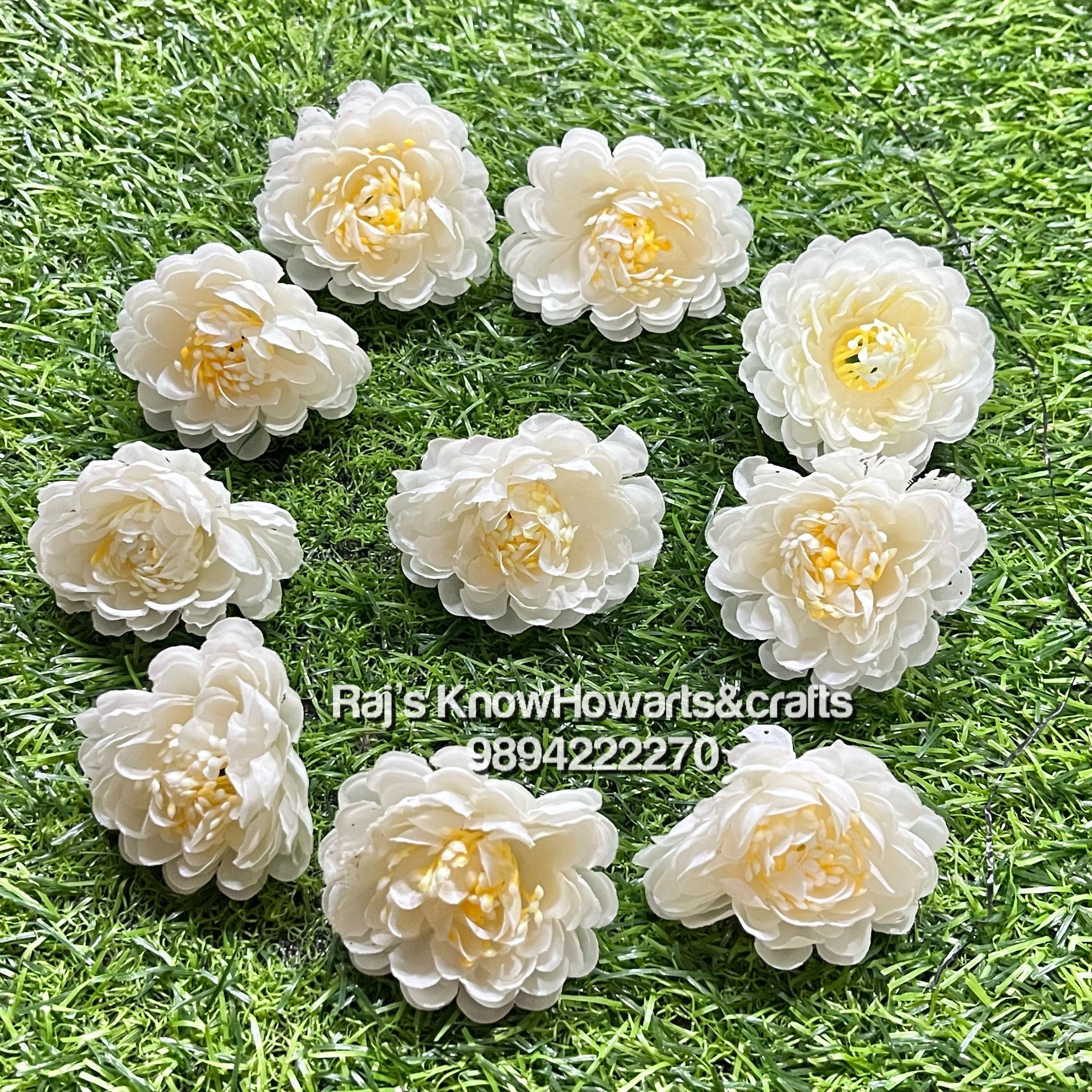 Dhalias half white - 10 pc in a pack