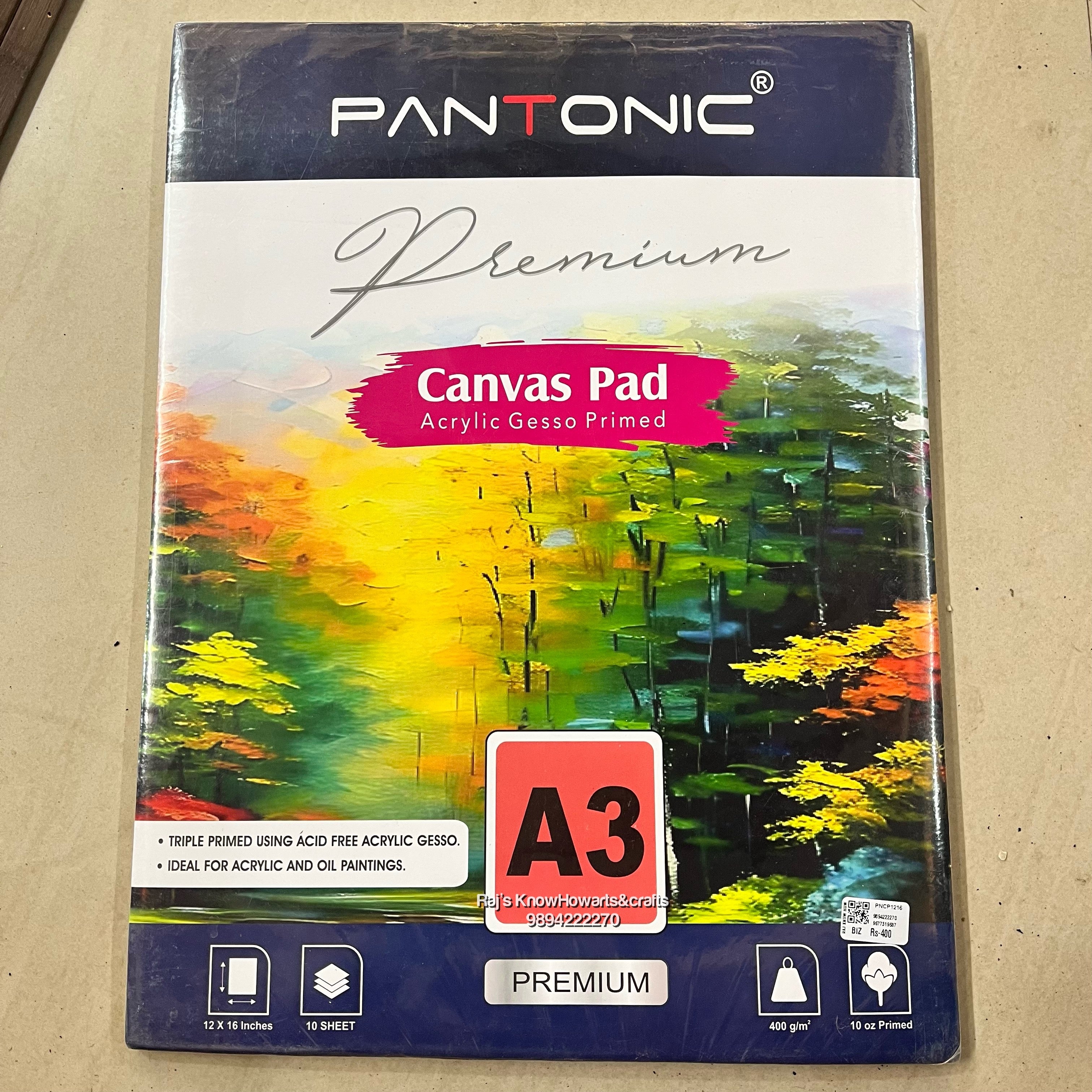 CANVAS PAD A3 - PNCP1216