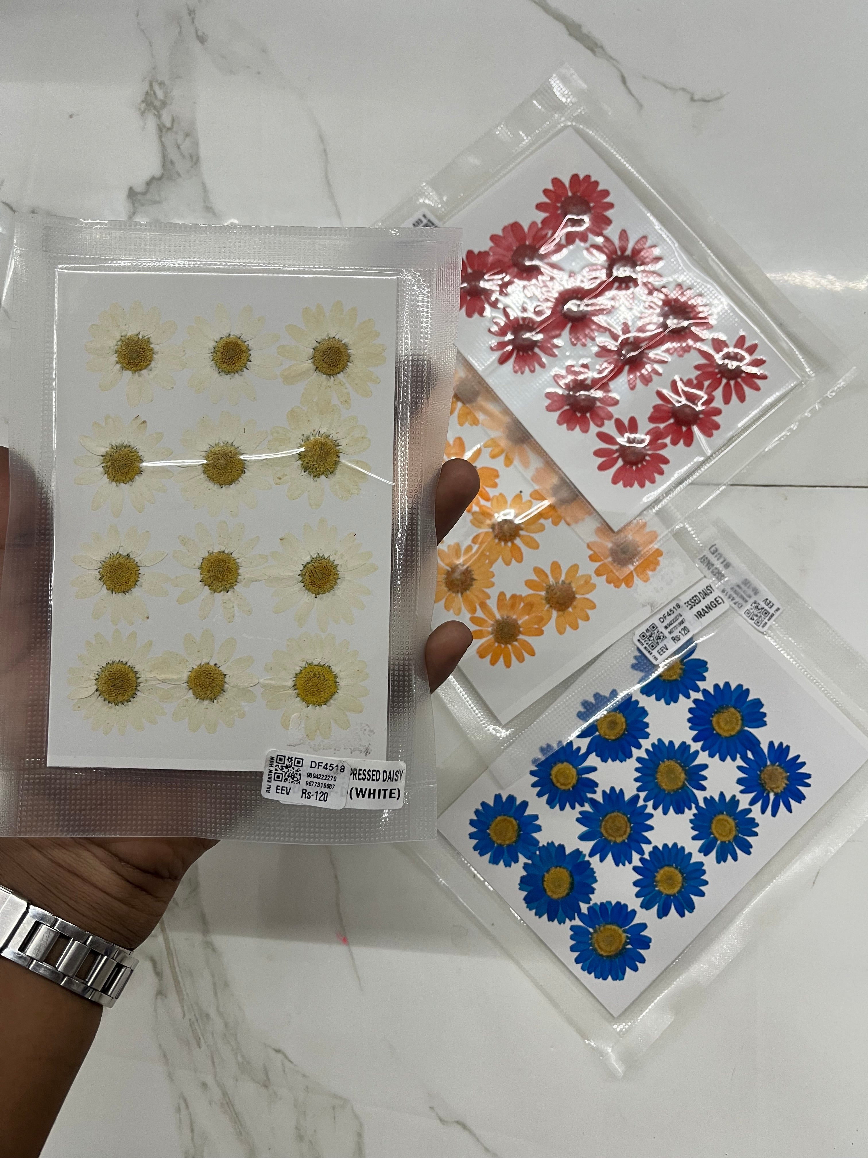 DRY FLOWER MINIATURE any 4 flowers kit-DF4518
