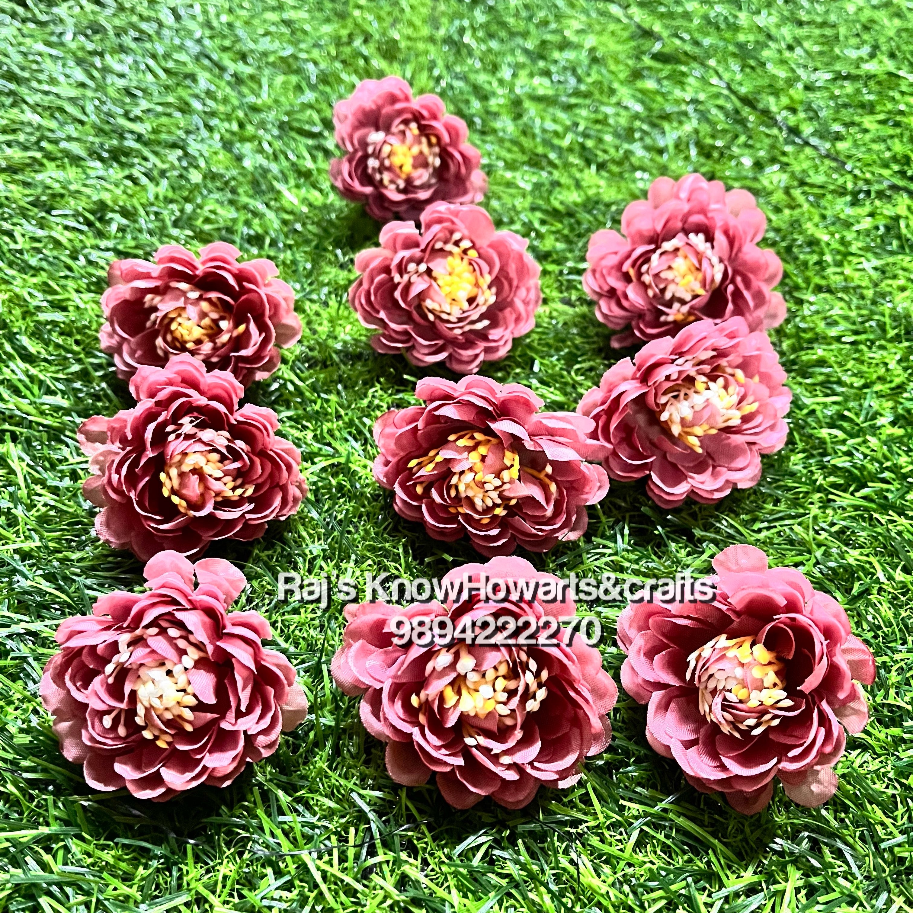 Dhalias Onion Rose- 10 pc in a pack