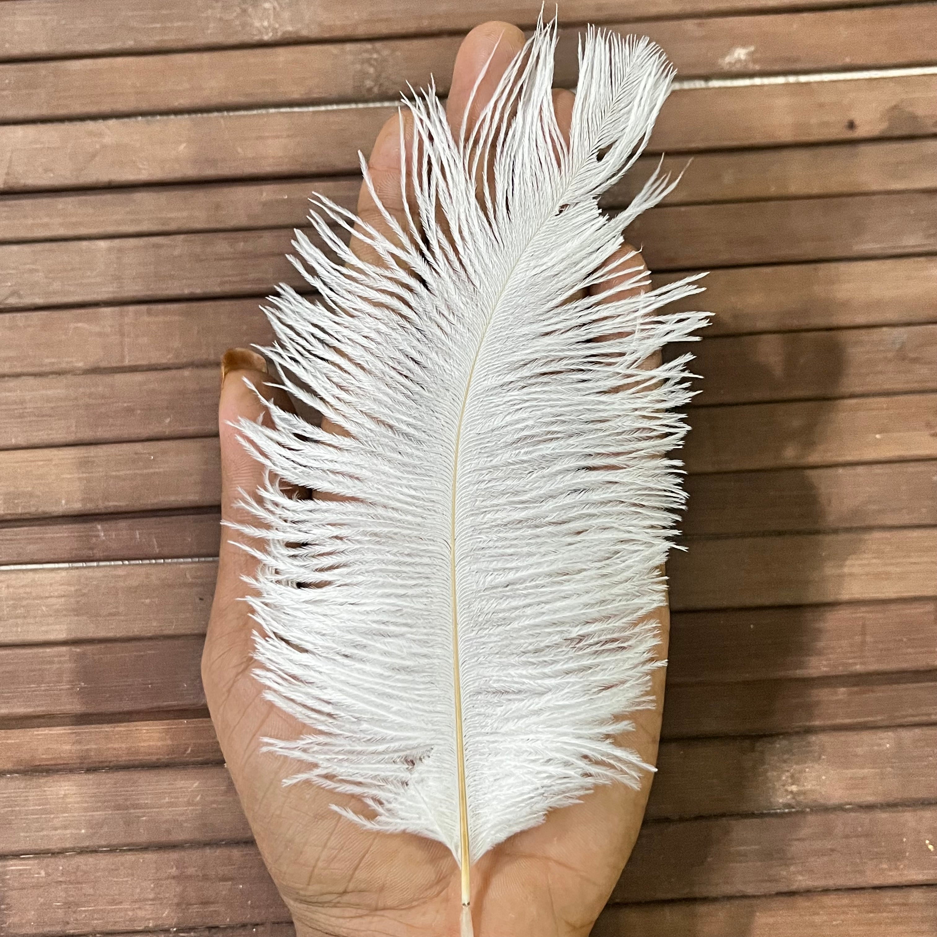 Artificial Ostrich Feather