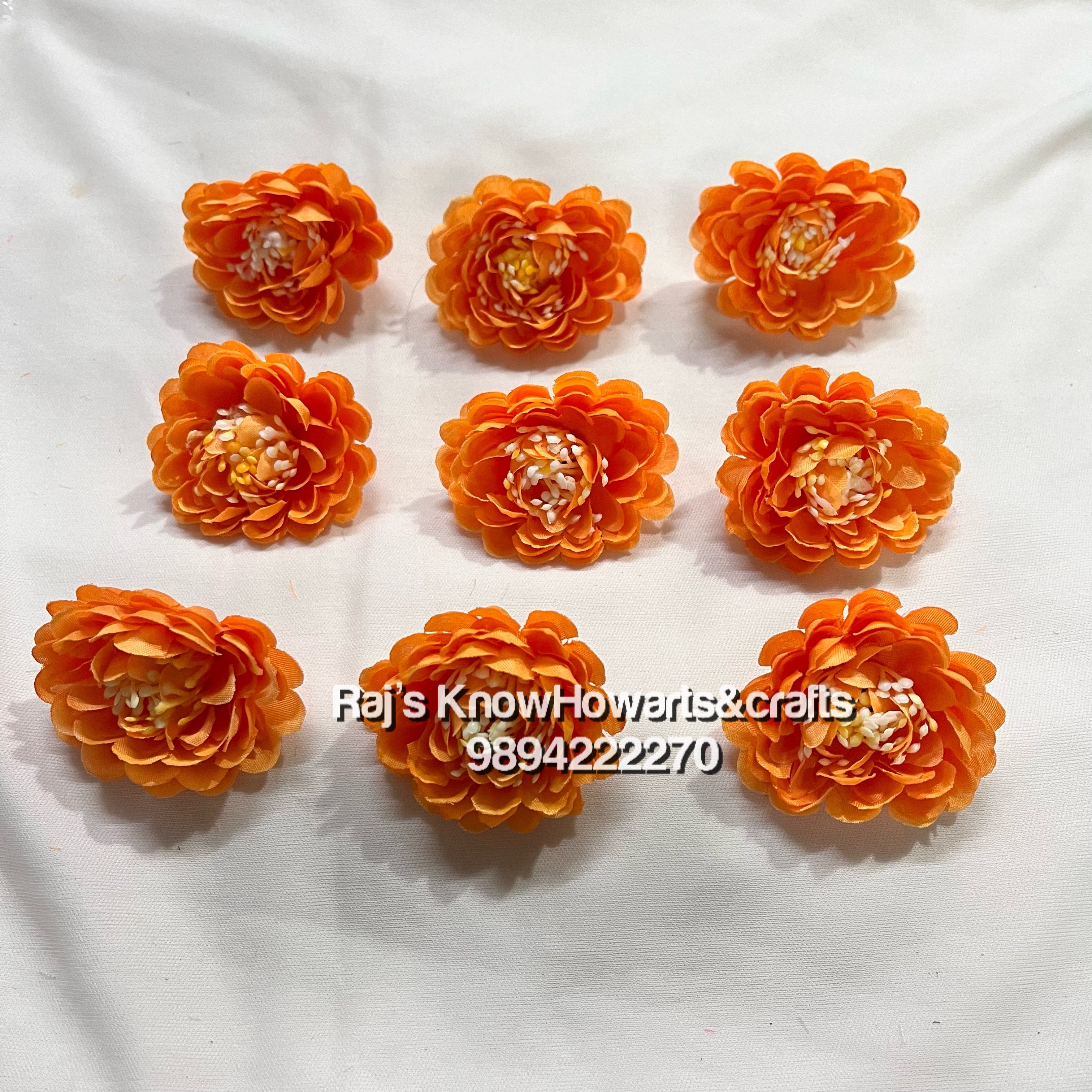 Dhalias Onion Orange- 10 pc in a pack