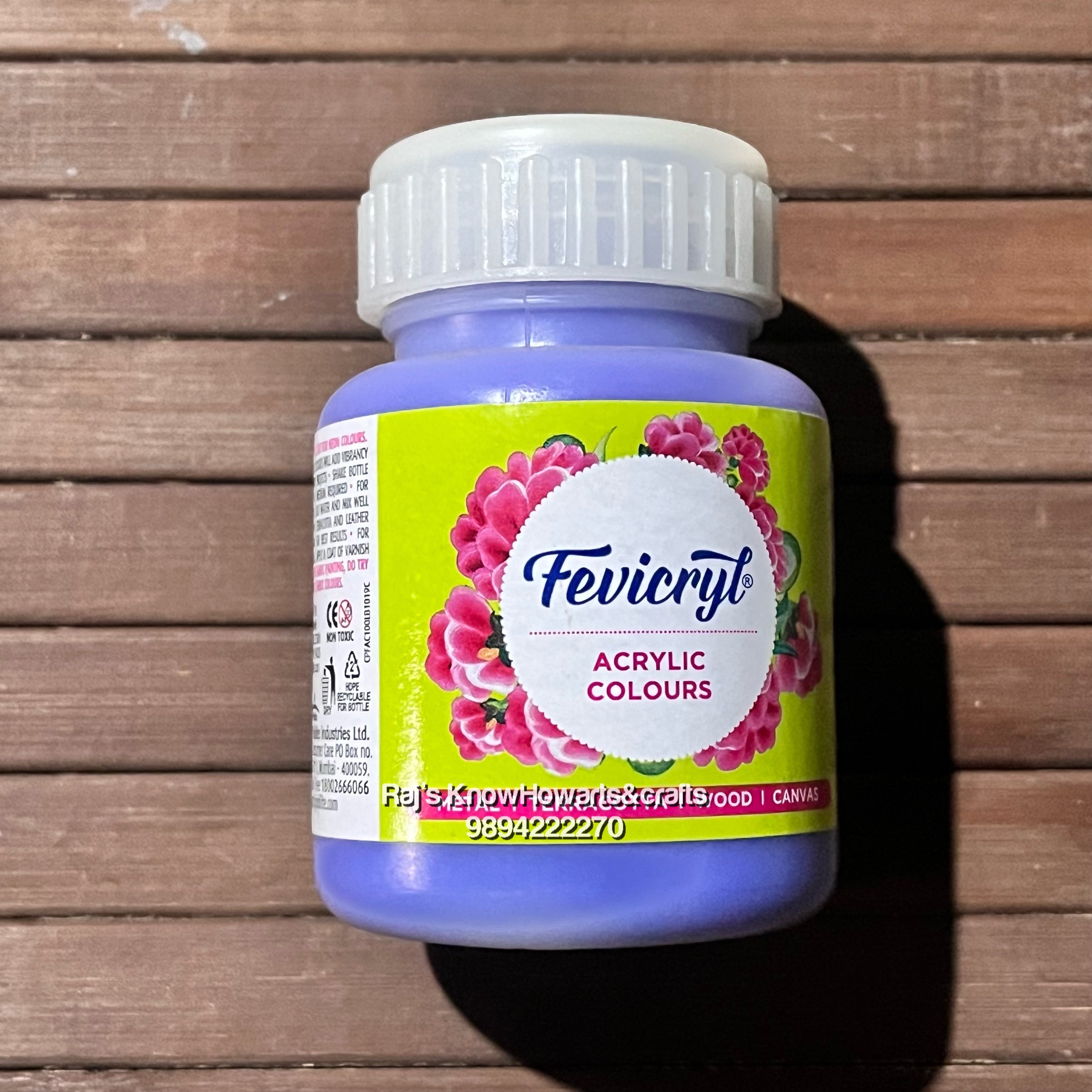 Violet 100ml fevicryl Acrylic color -1 bottle