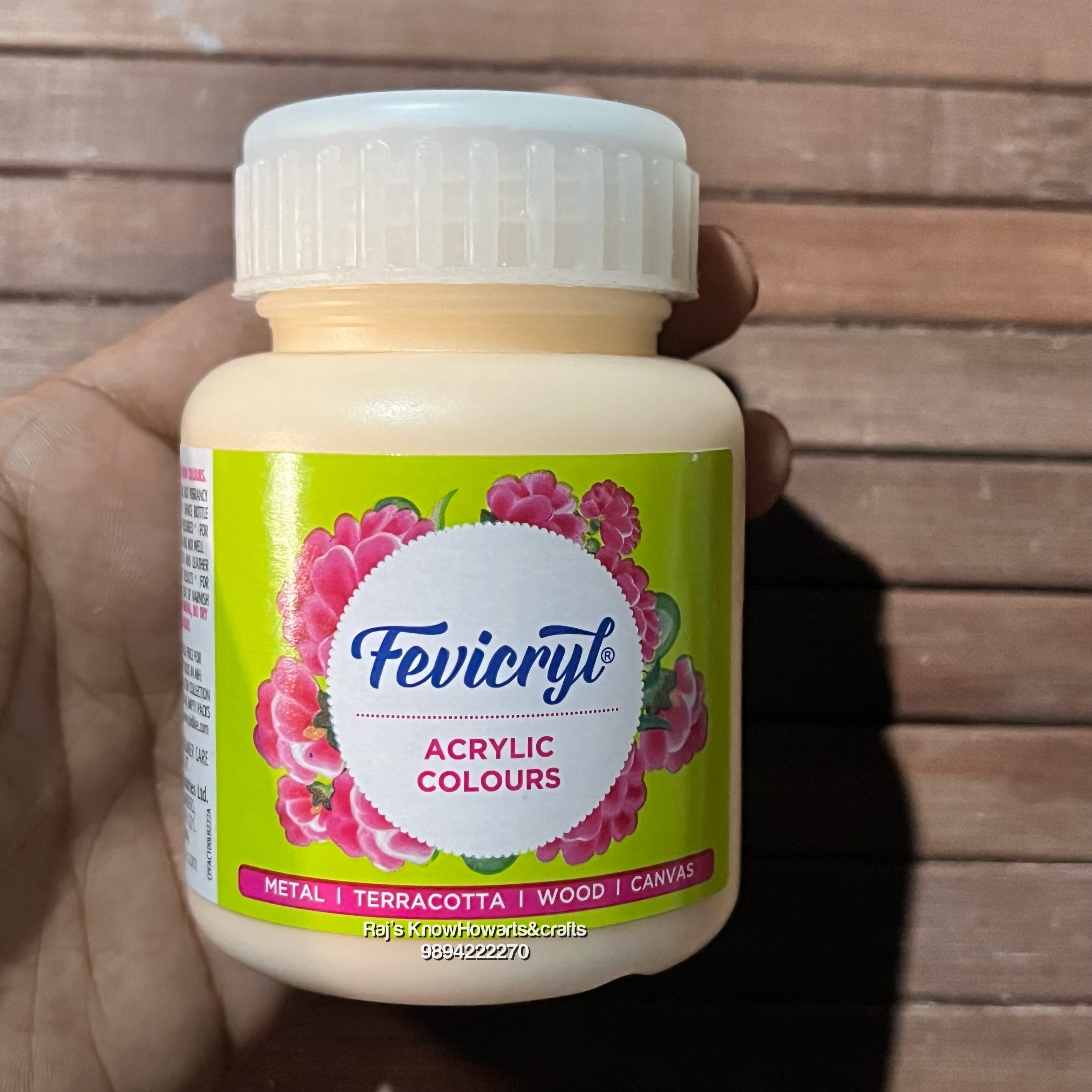 Flesh Tint 100ml fevicryl Acrylic color -1 bottle