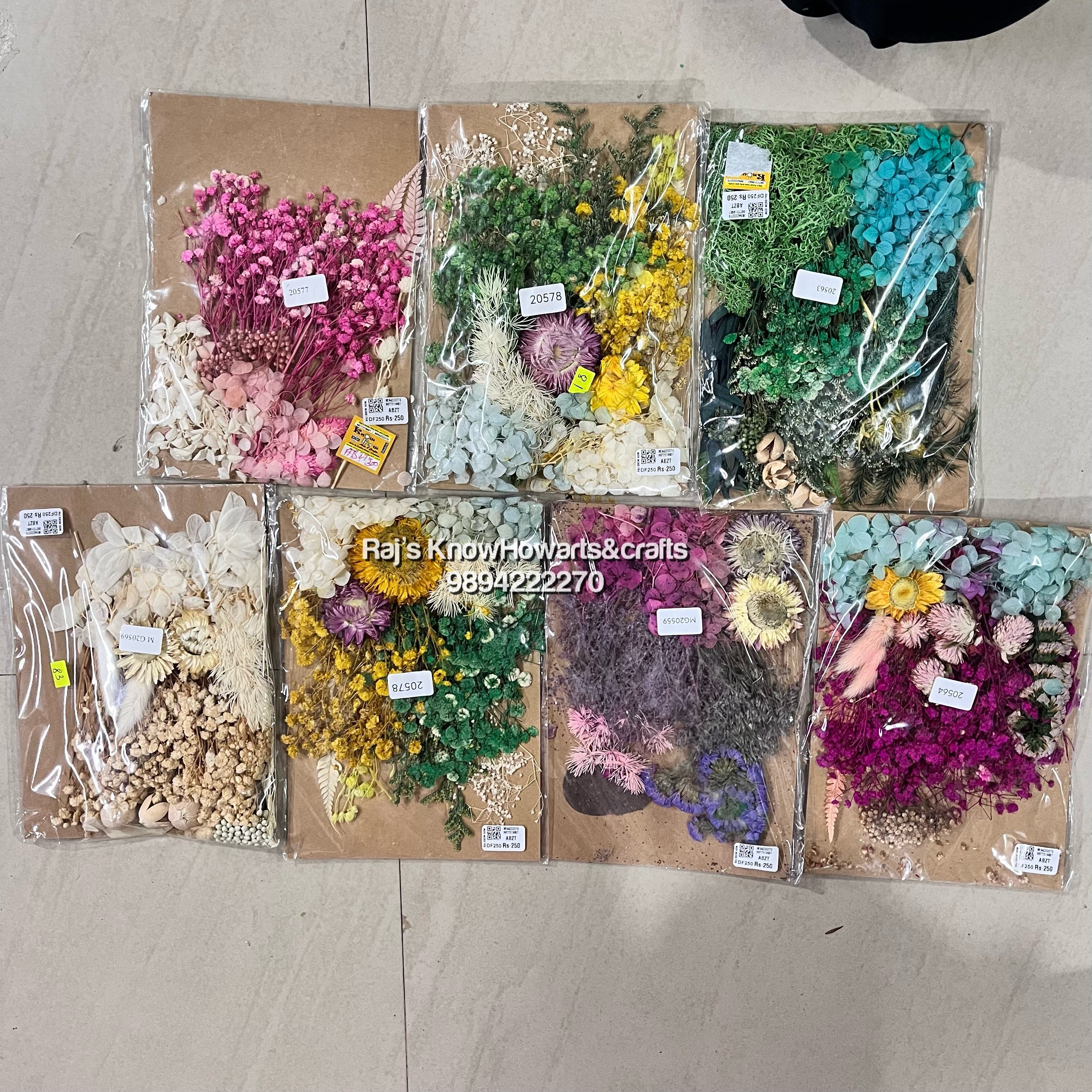 Assorted Dry flower colours - 1 pc