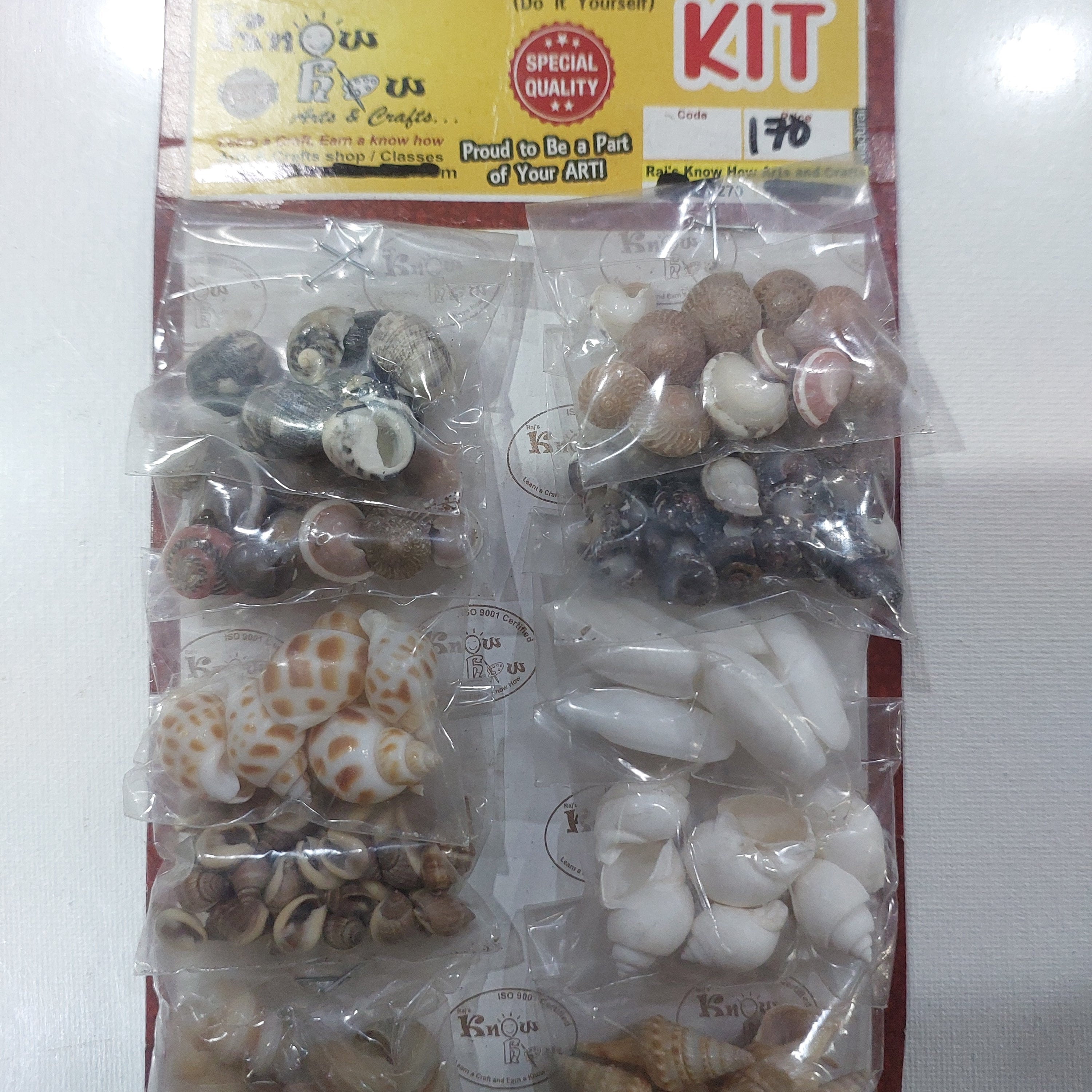 Sea Shell kit set of 10