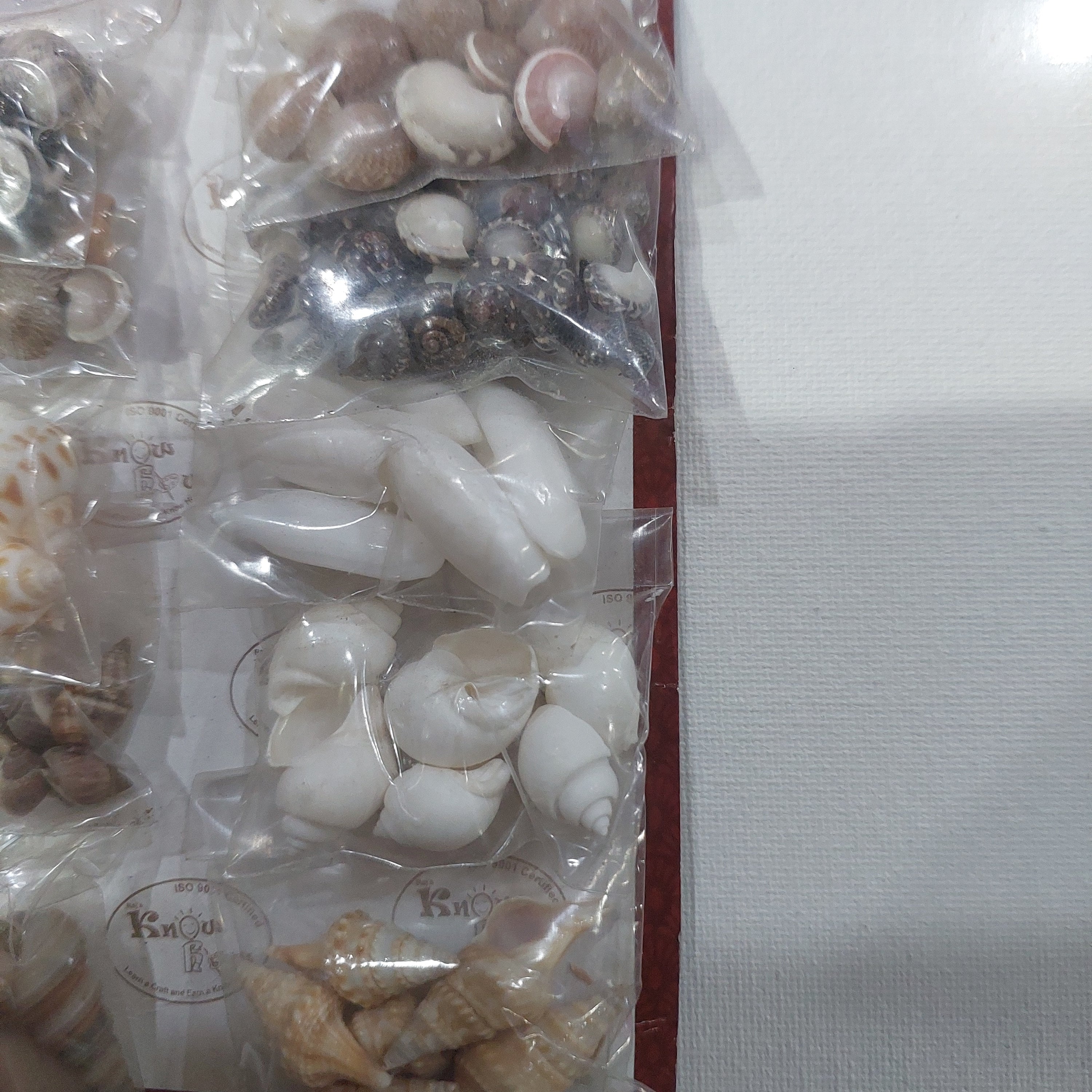 Sea Shell kit set of 10