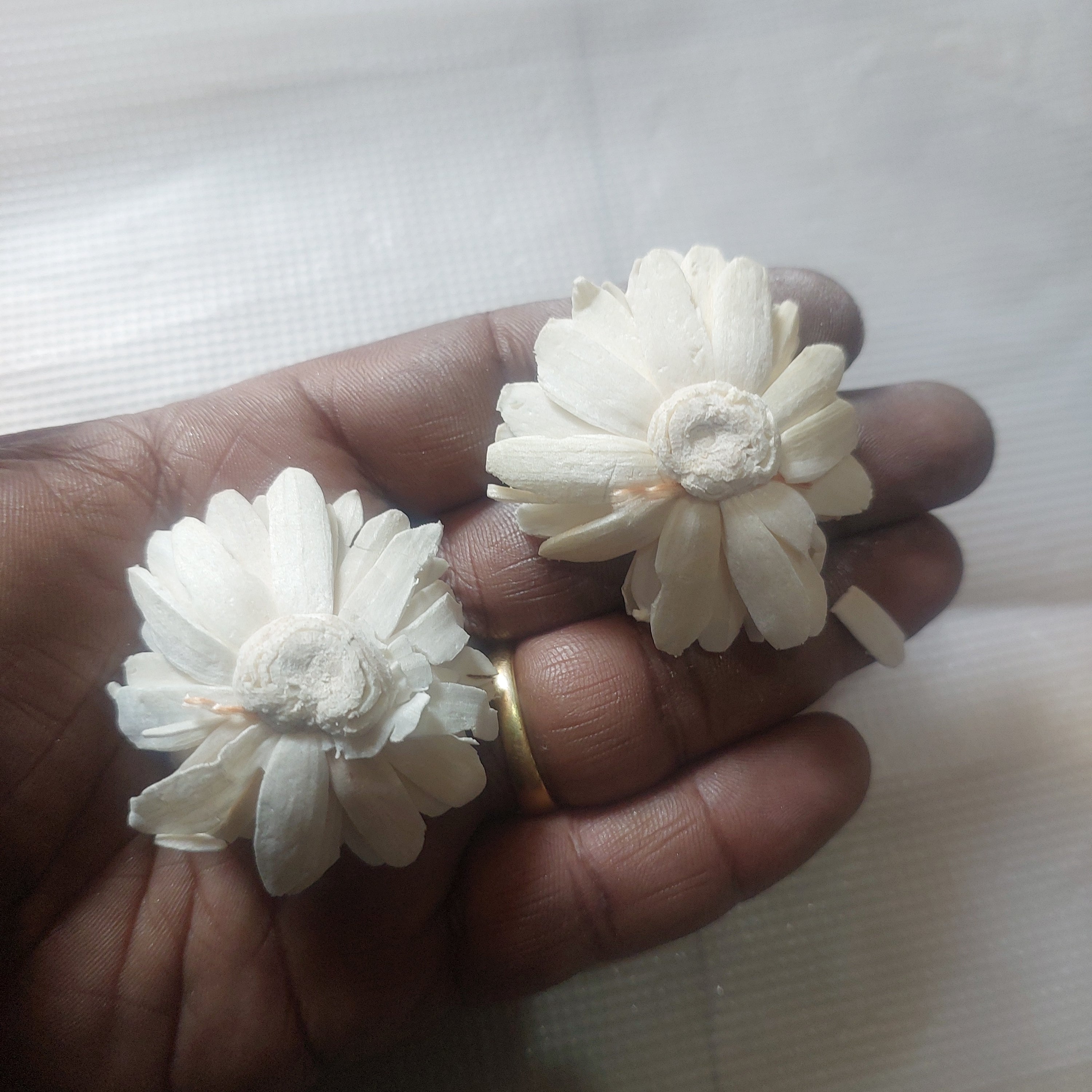 Sola Wood flower-3piece in a pack