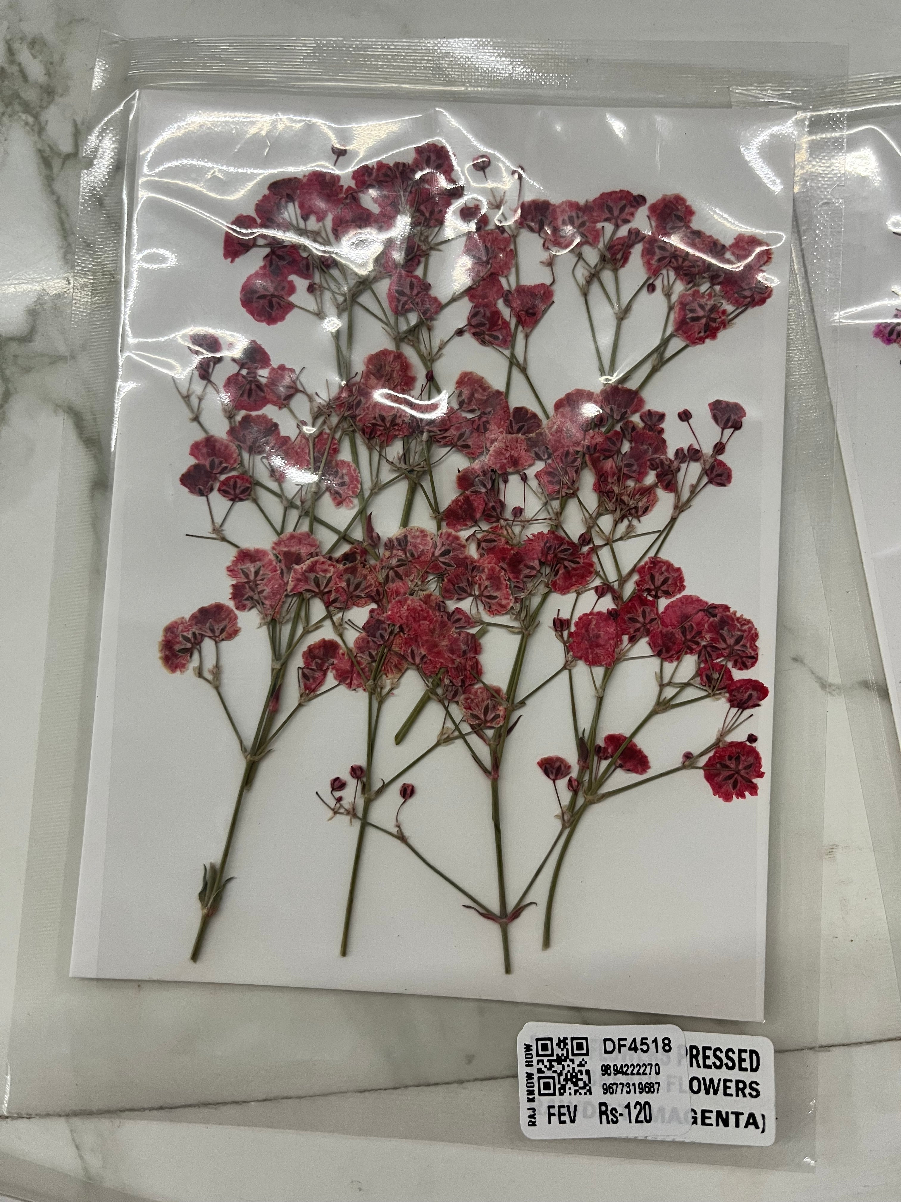 DRY FLOWER MINIATURE any 5 flowers kit-DF4518
