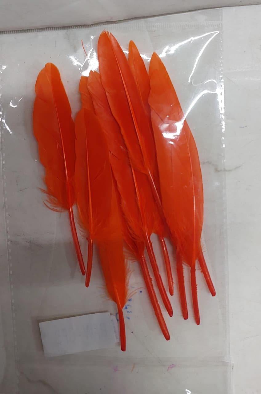 Colour feather hard 10 pcs pack assorted 1 color- FEA40 – KnowHowArtCraft