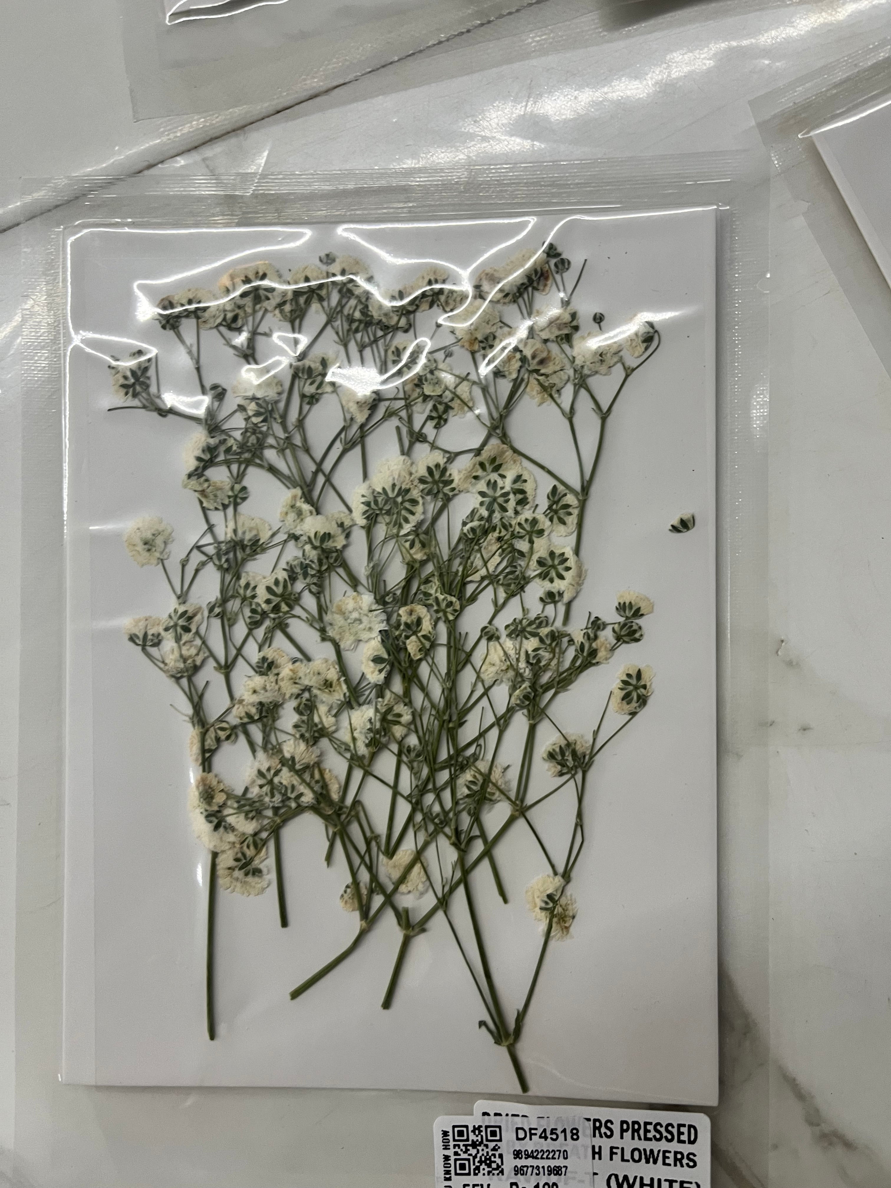 DRY FLOWER MINIATURE any 5 flowers kit-DF4518