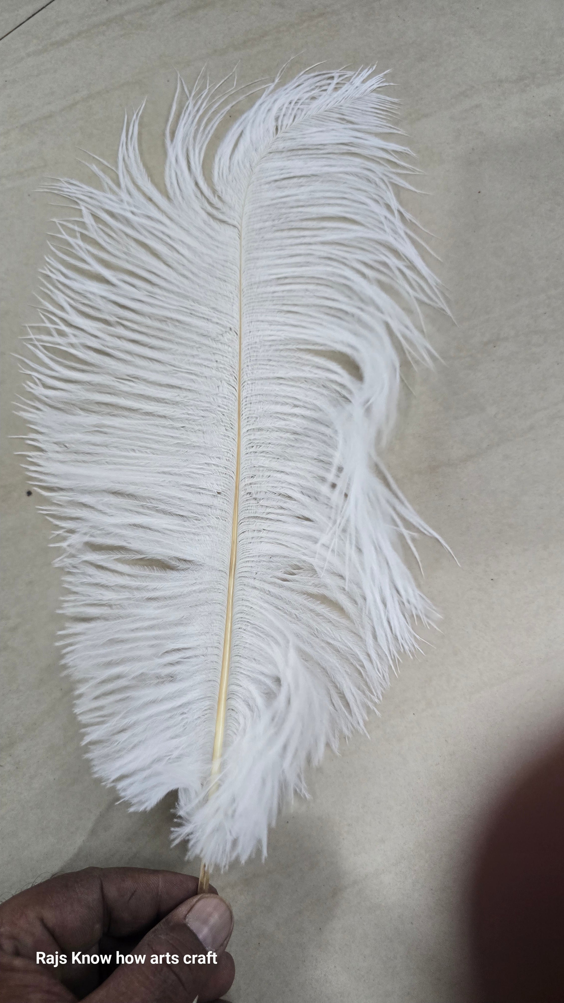 Artificial Ostrich Feather big 1 piece