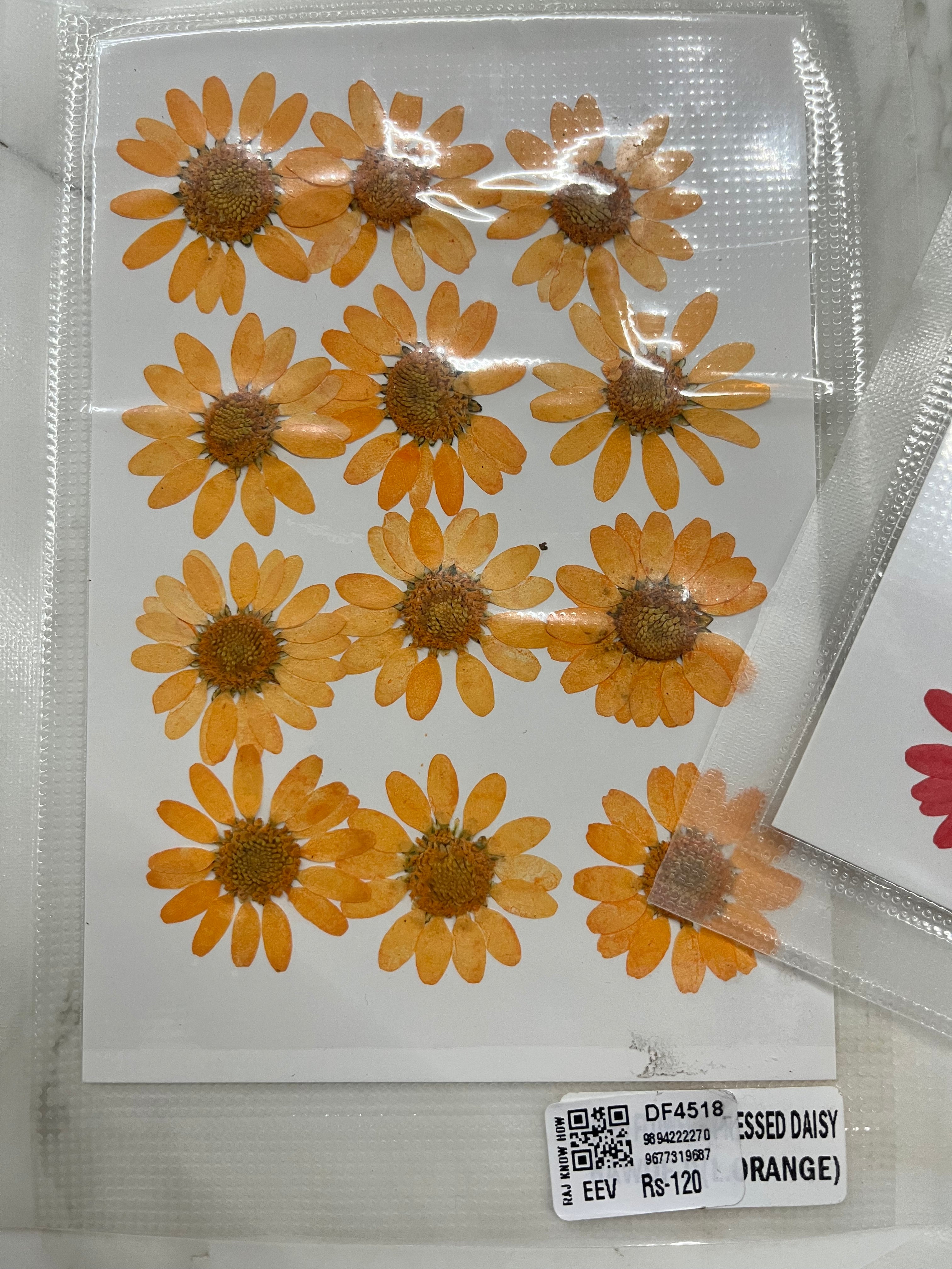 DRY FLOWER MINIATURE any 4 flowers kit-DF4518
