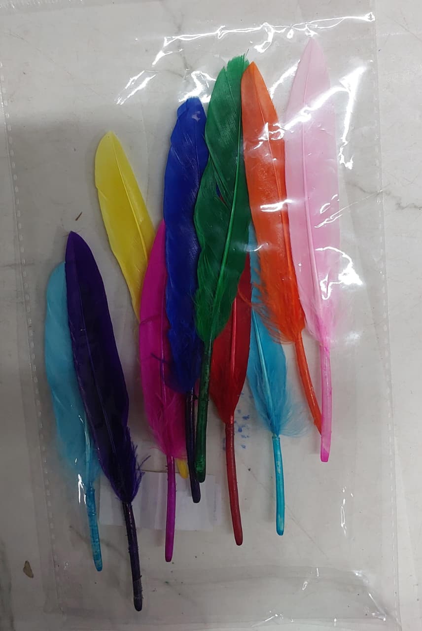 Colour feather hard 10 pcs pack assorted 1 color- FEA40 – KnowHowArtCraft