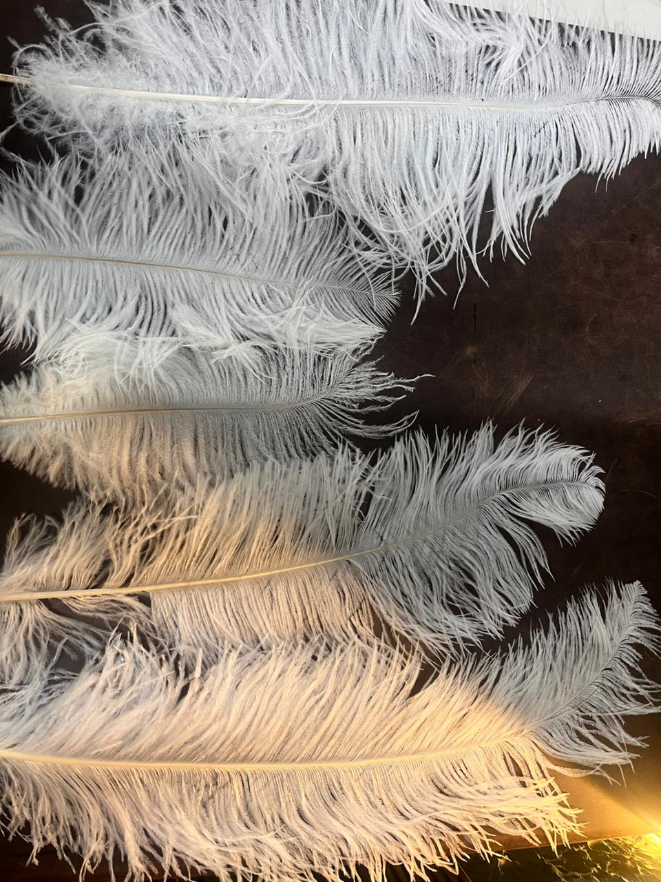 Artificial Ostrich Feather for craft project in centimeter 1piece