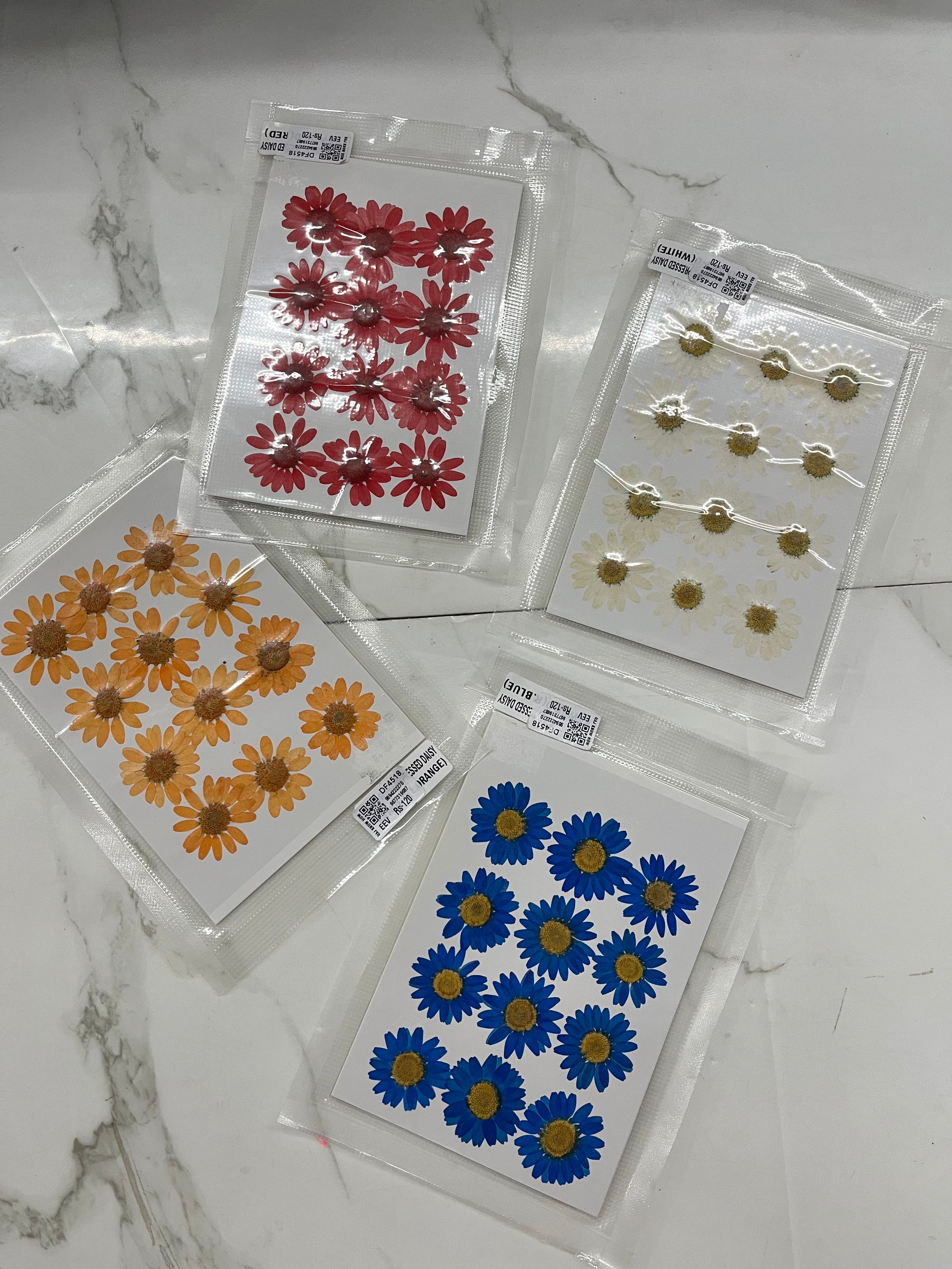 DRY FLOWER MINIATURE any 4 flowers kit-DF4518