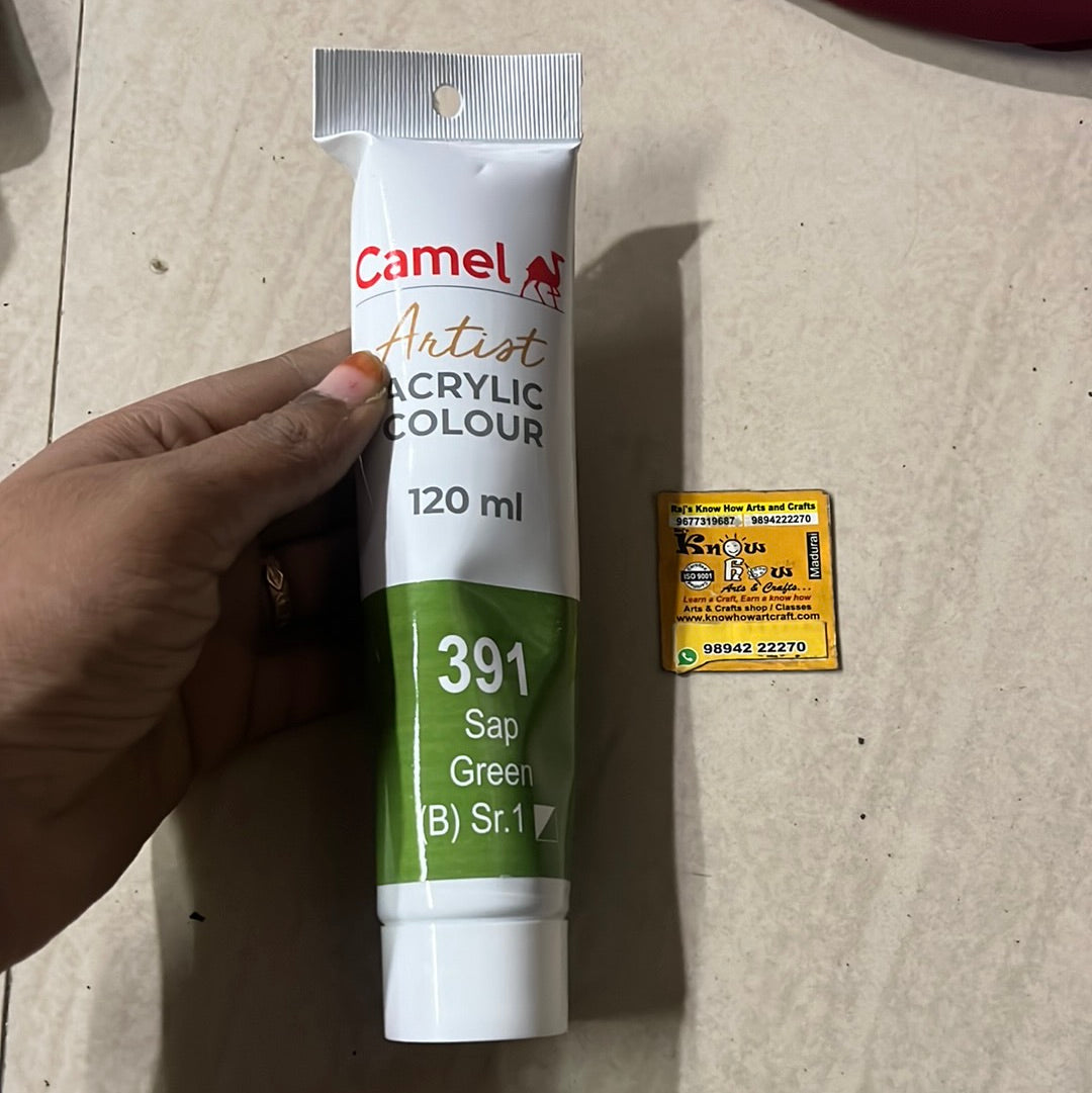 Sap green -120ml Camlin Artist range acrylic colours – KnowHowArtCraft