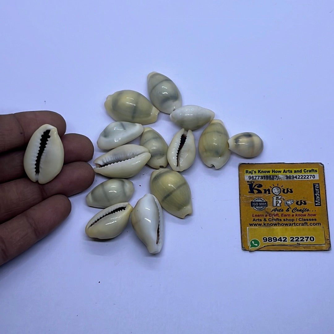 Chovi Sea shell natural yellow-50 g pack