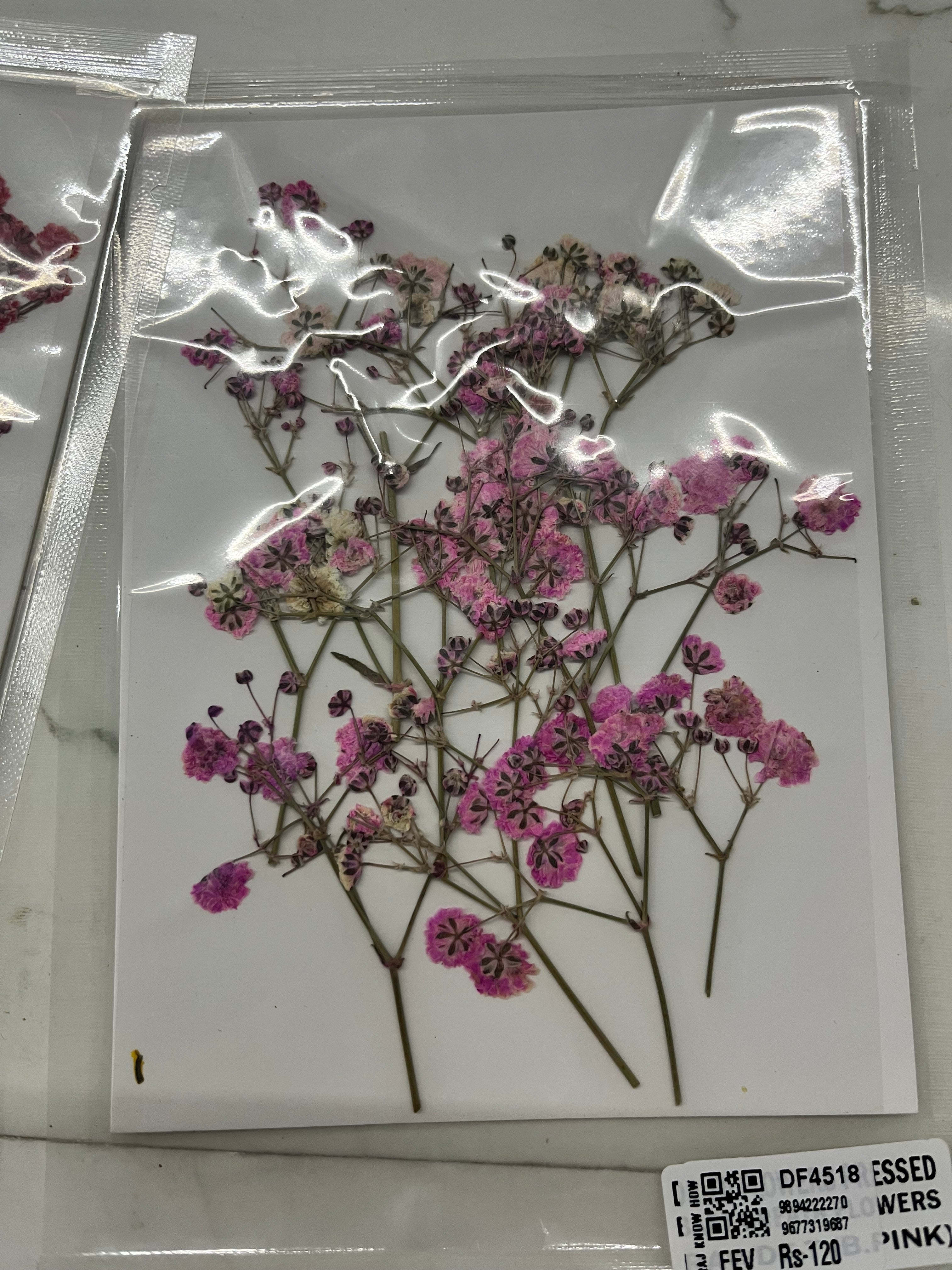 DRY FLOWER MINIATURE any 5 flowers kit-DF4518
