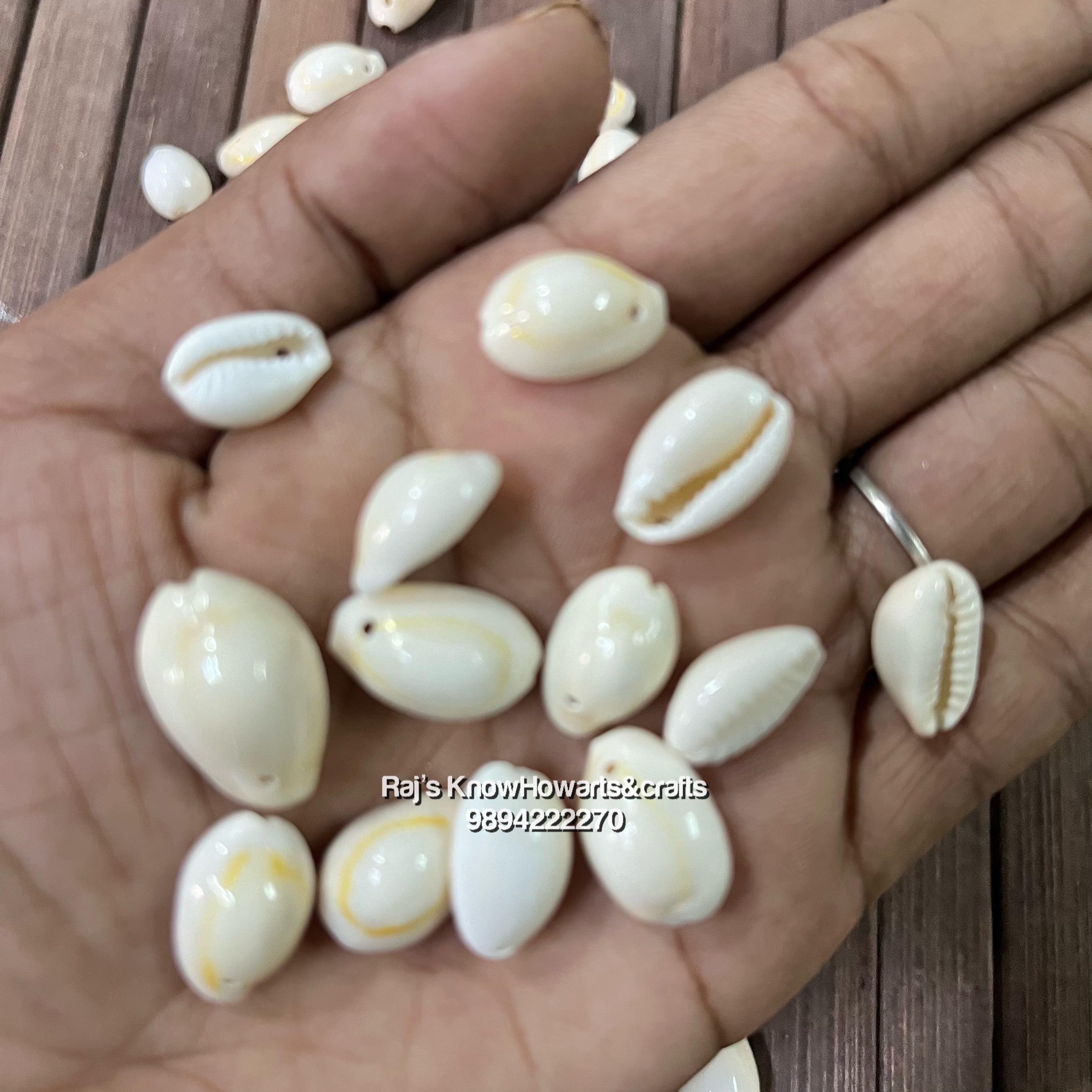 Onecowrie Shells Natural single Hole cowries shell - 25gram – KnowHowArtCraft