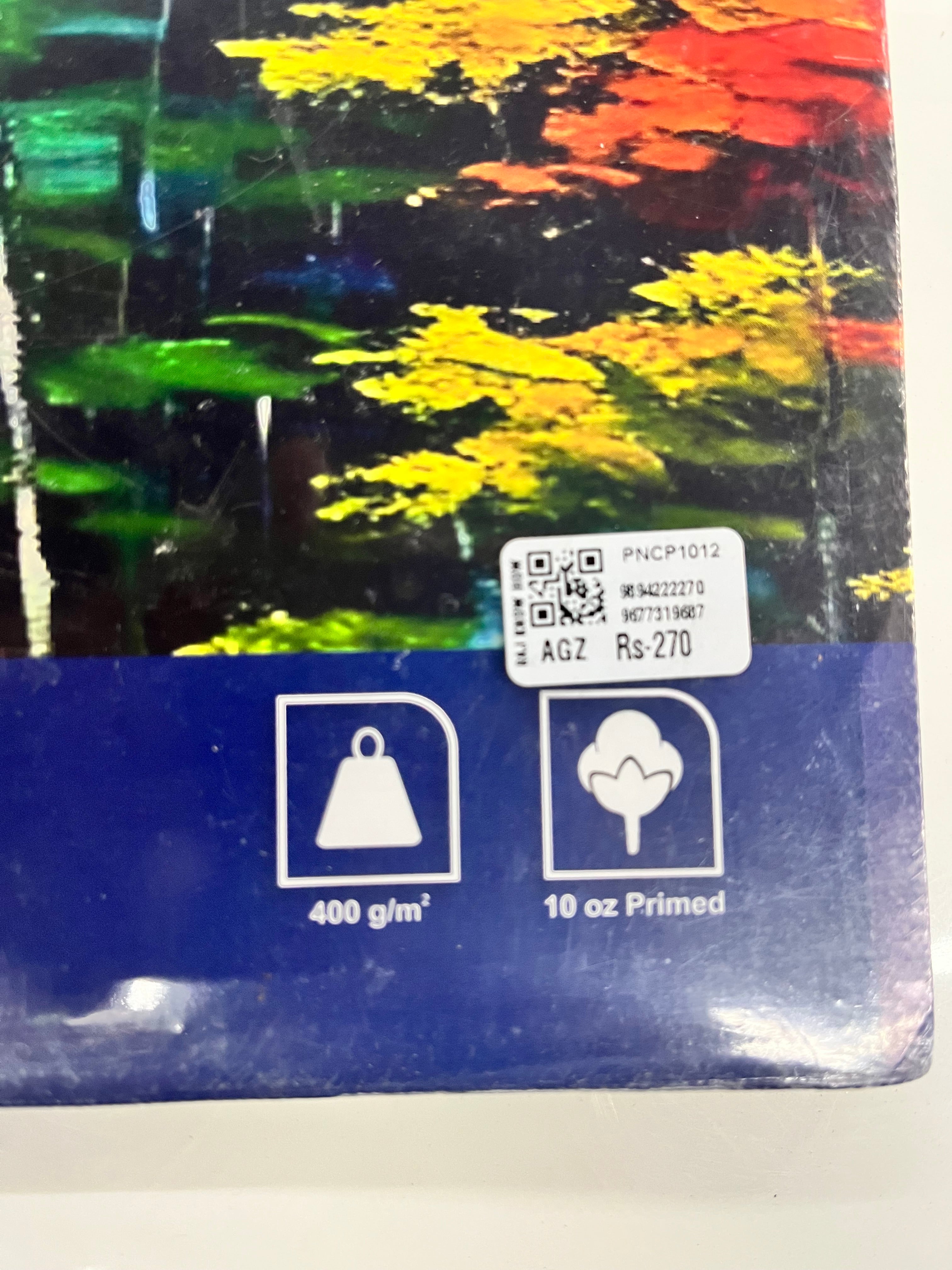 Pantonic CANVAS PAD A4- PNCP1012