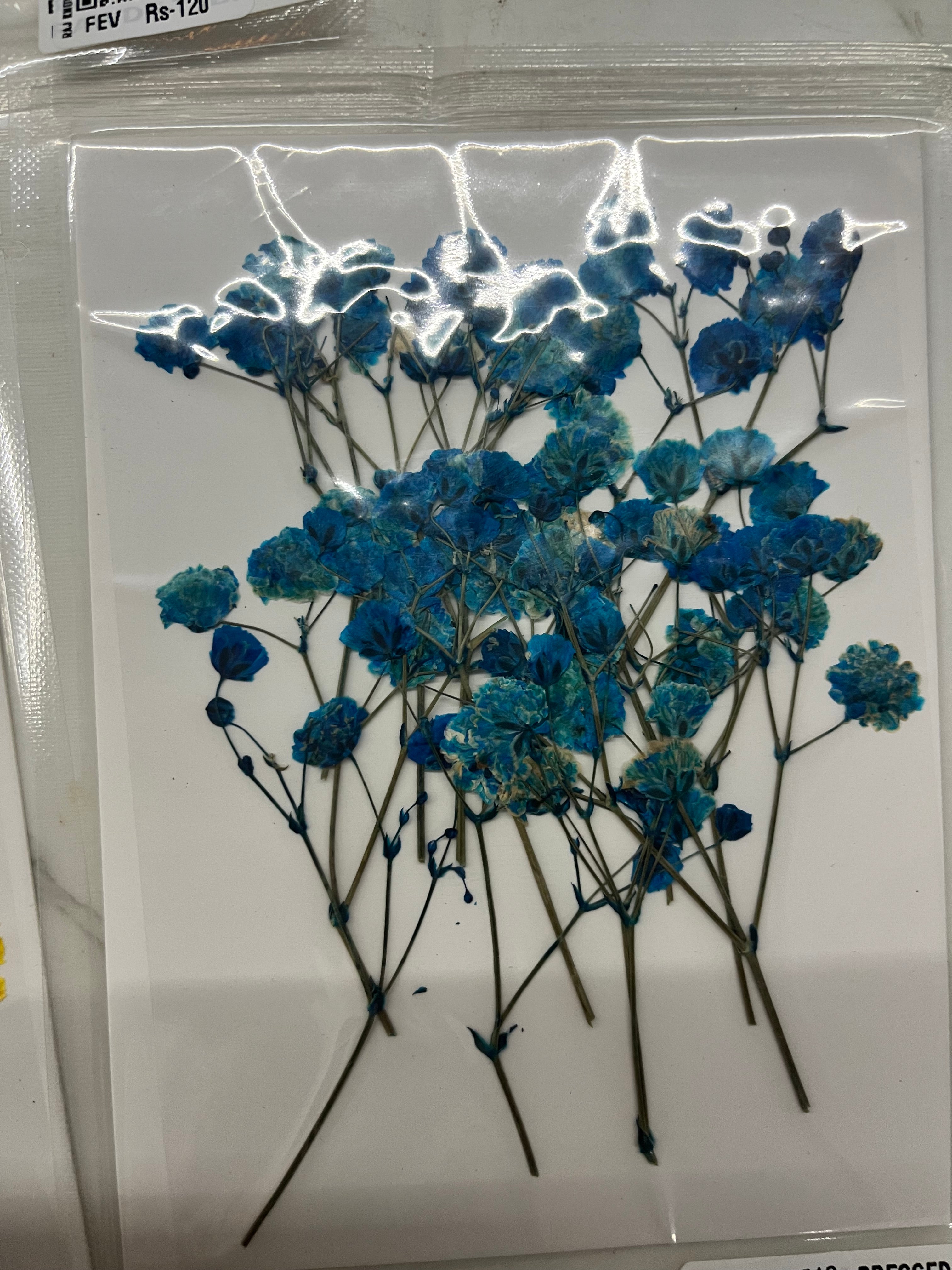 DRY FLOWER MINIATURE any 5 flowers kit-DF4518