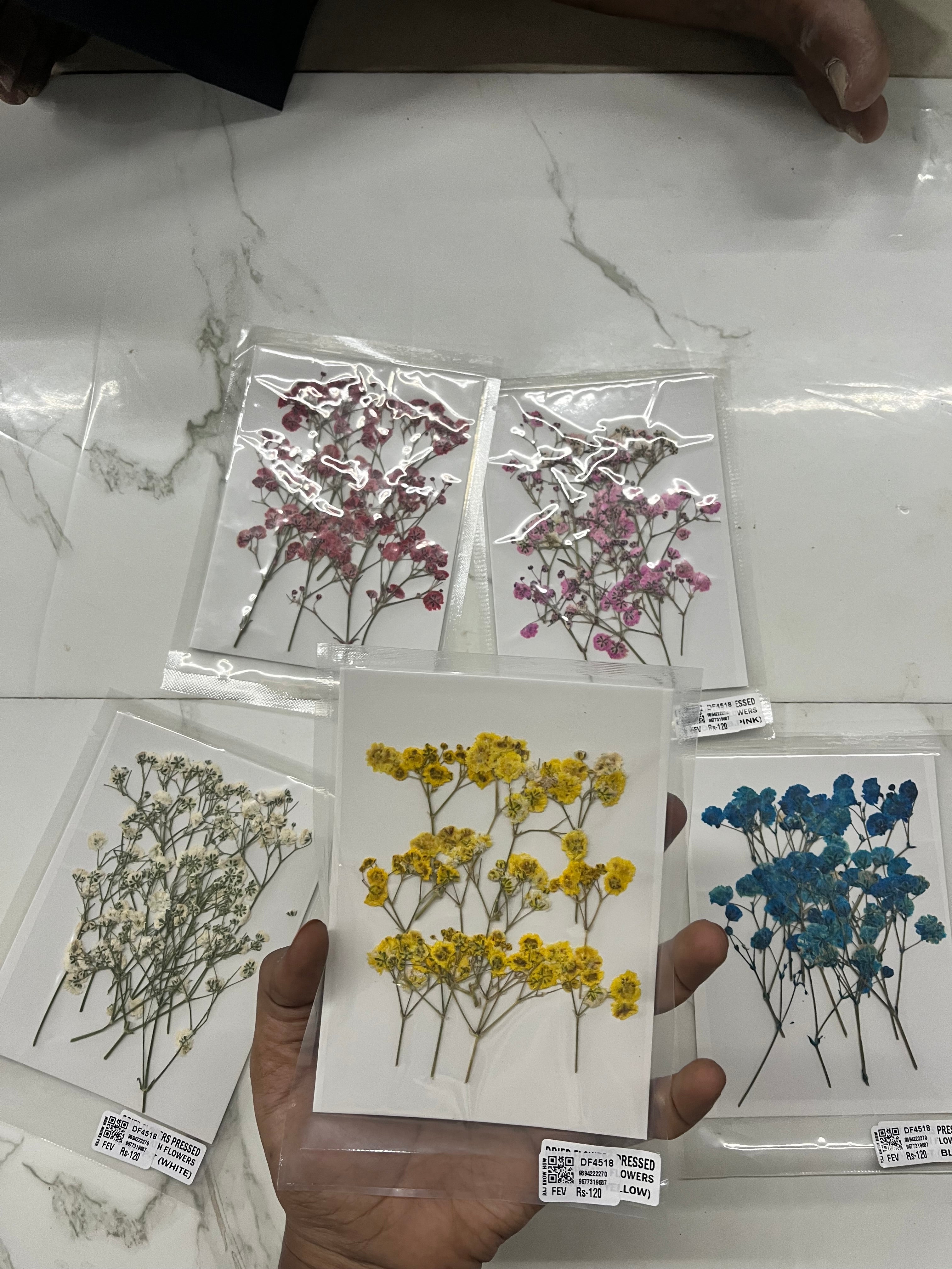 DRY FLOWER MINIATURE any 5 flowers kit-DF4518