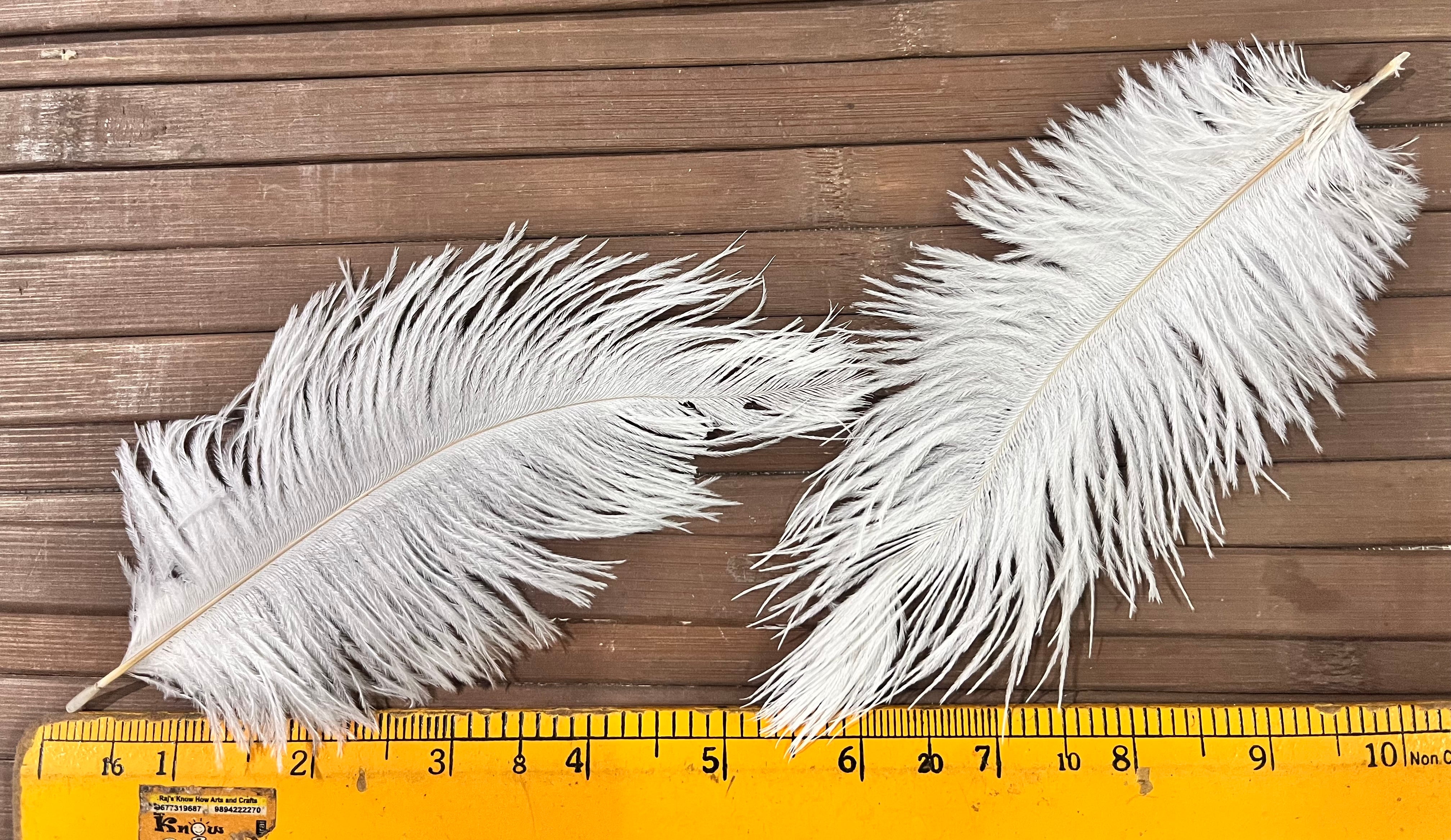 Artificial Ostrich Feather