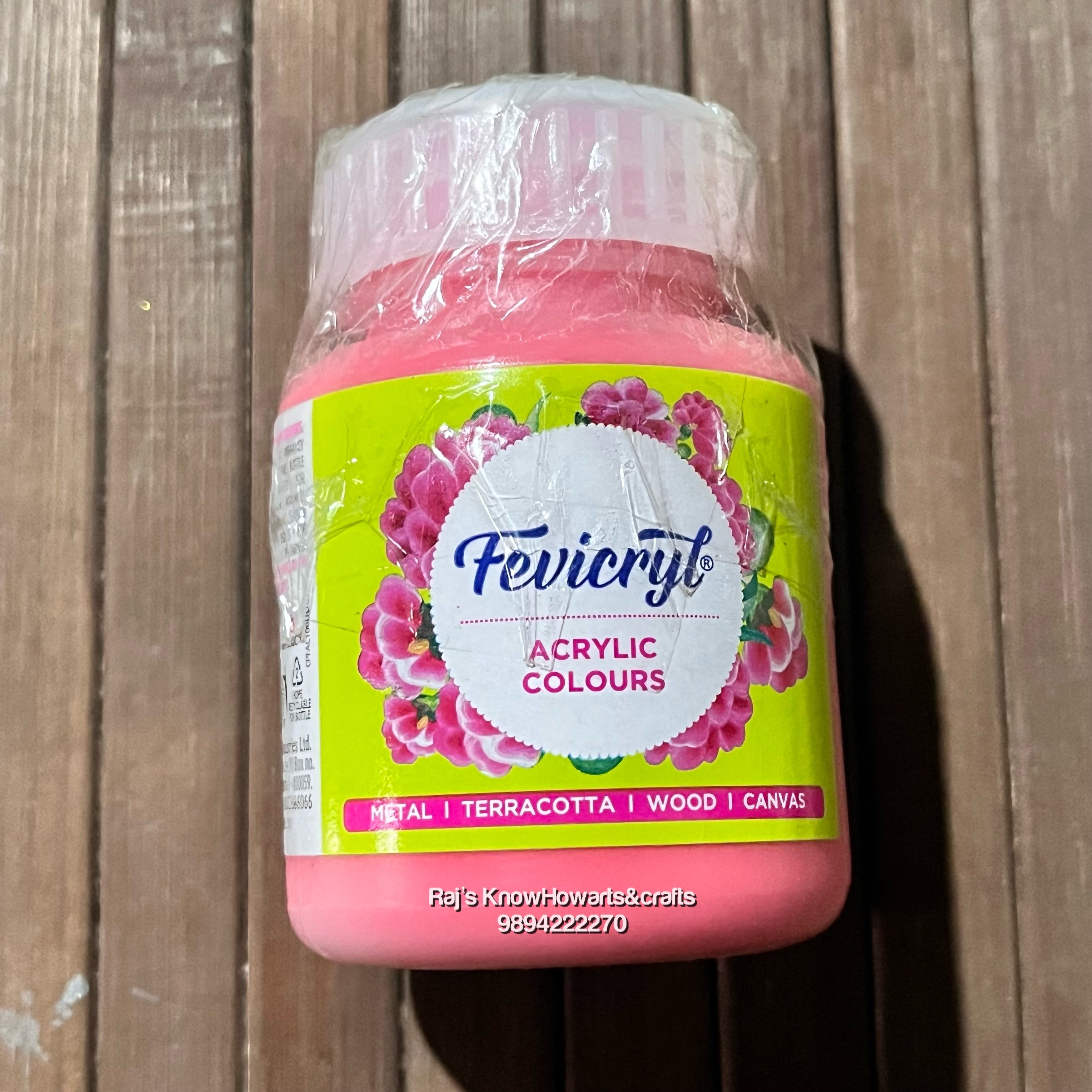 Salmon Pink 100ml fevicryl Acrylic color -1 bottle