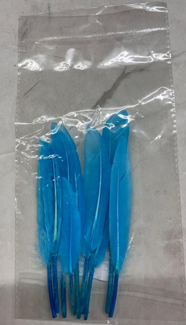 Colour feather hard 10 pcs pack assorted 1 color- FEA40 – KnowHowArtCraft