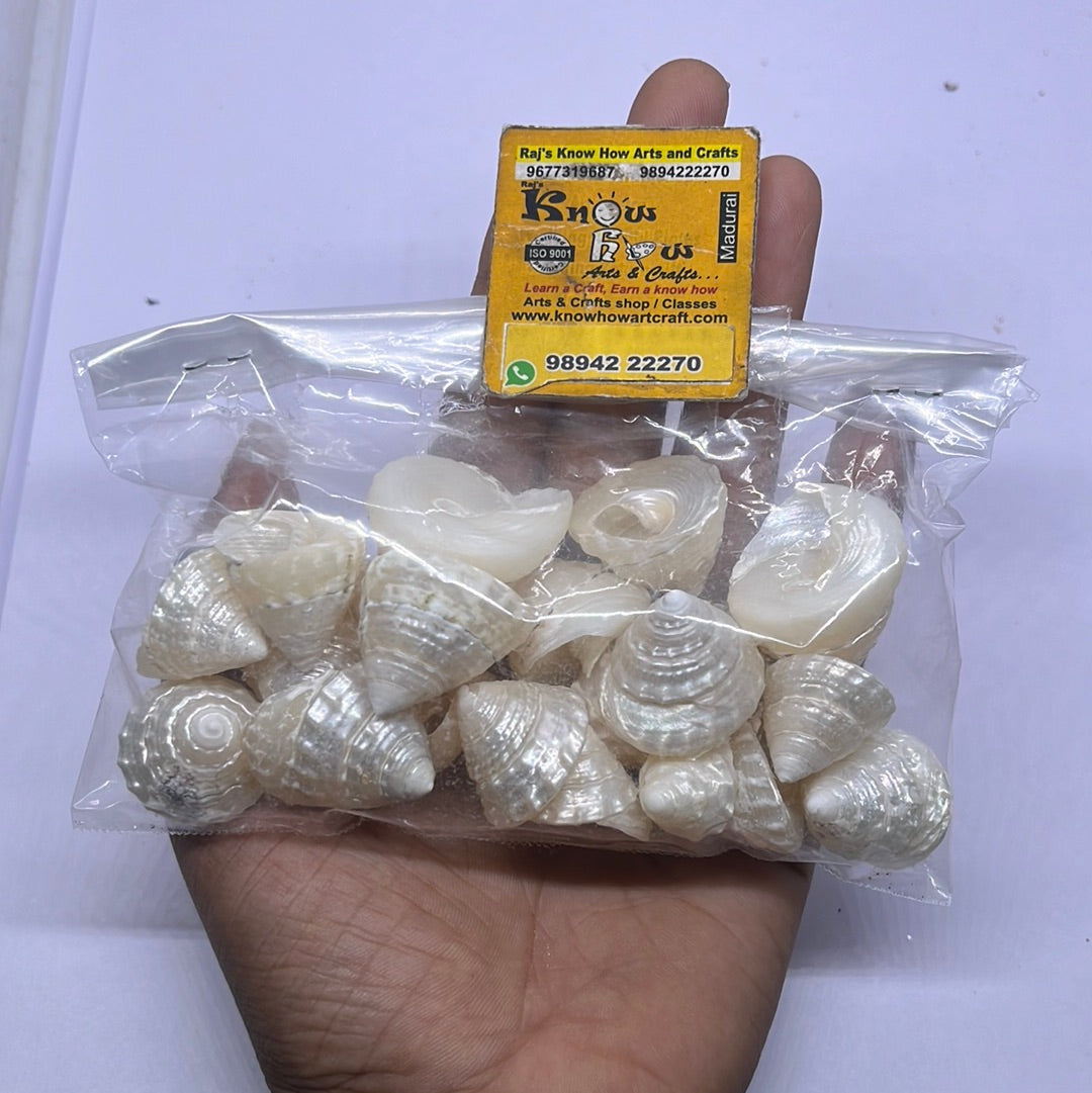 Metallic pearled Sea shells -50g pack