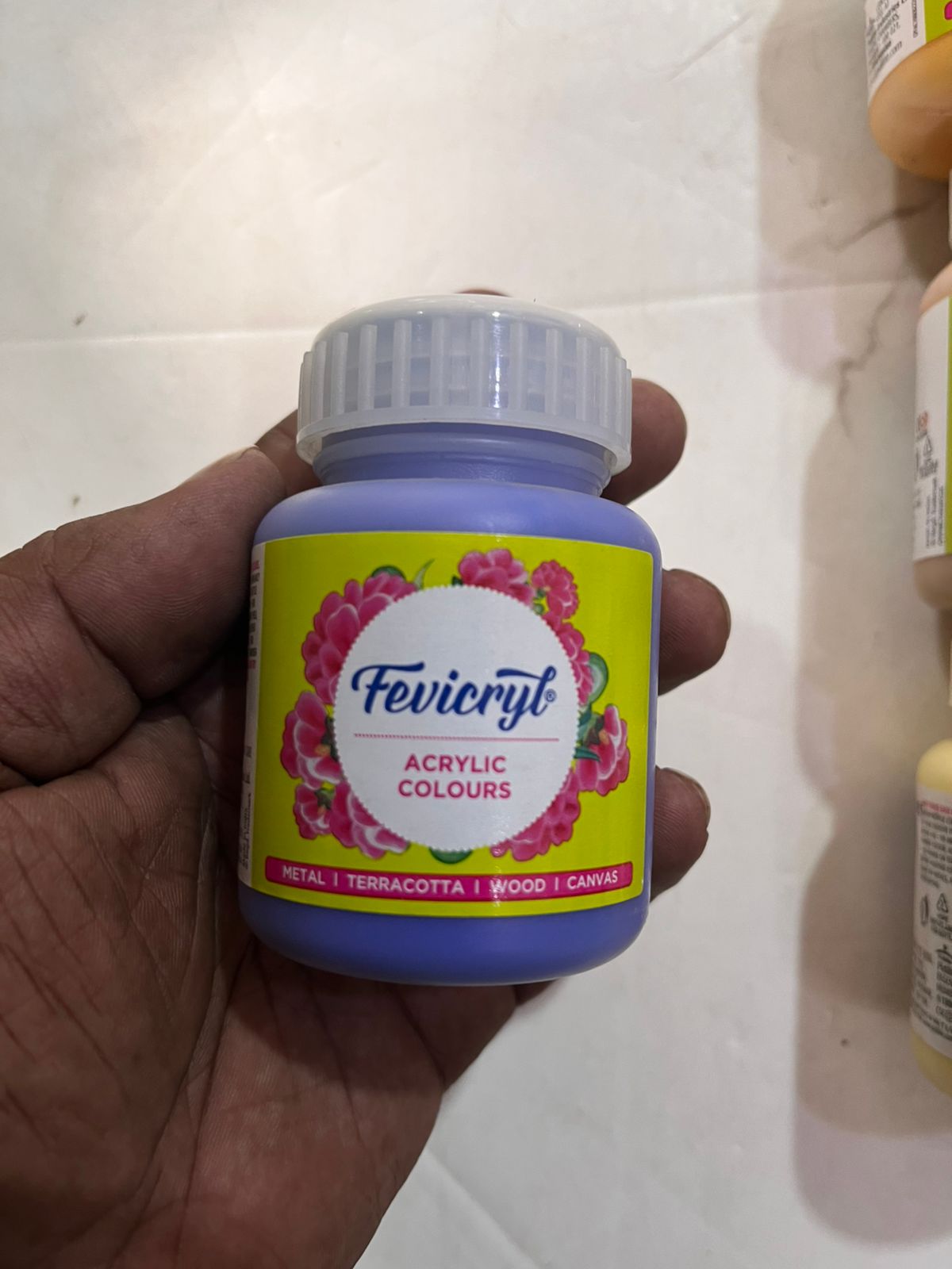 100ml Fevicryl 40 shade acrylic colour set