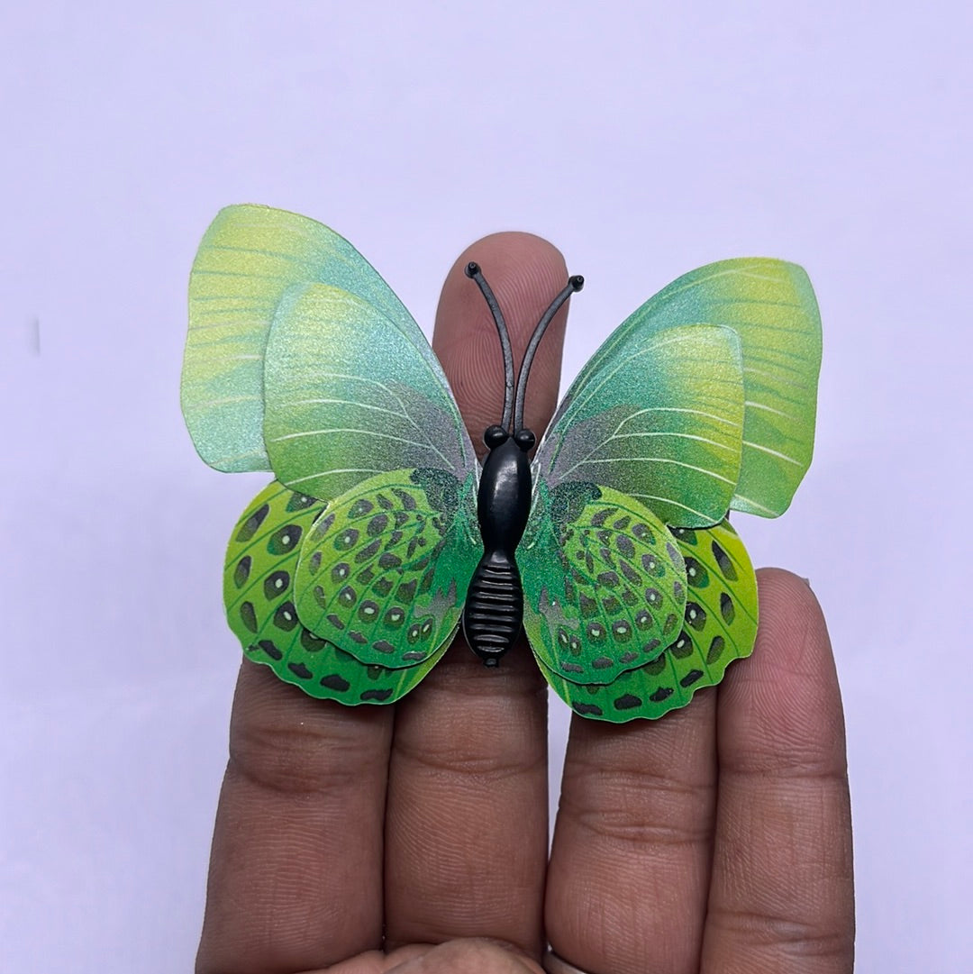 Green butterfly set