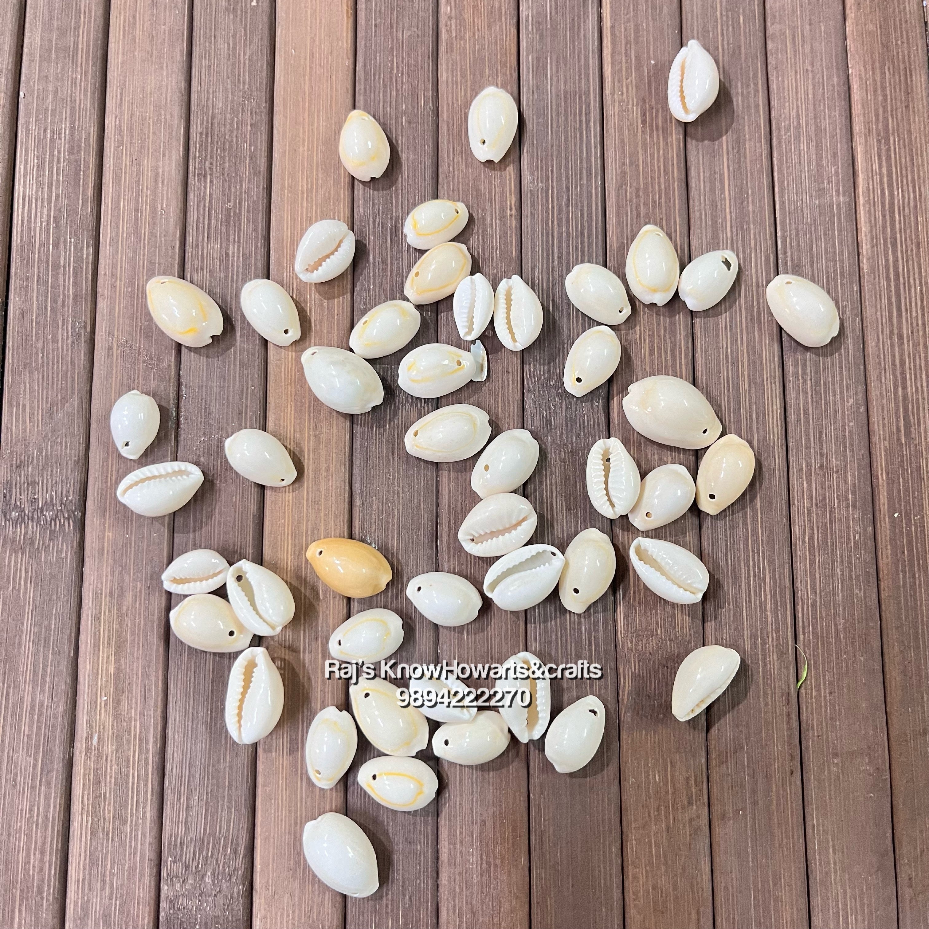 Onecowrie Shells Natural single Hole cowries shell - 25gram – KnowHowArtCraft
