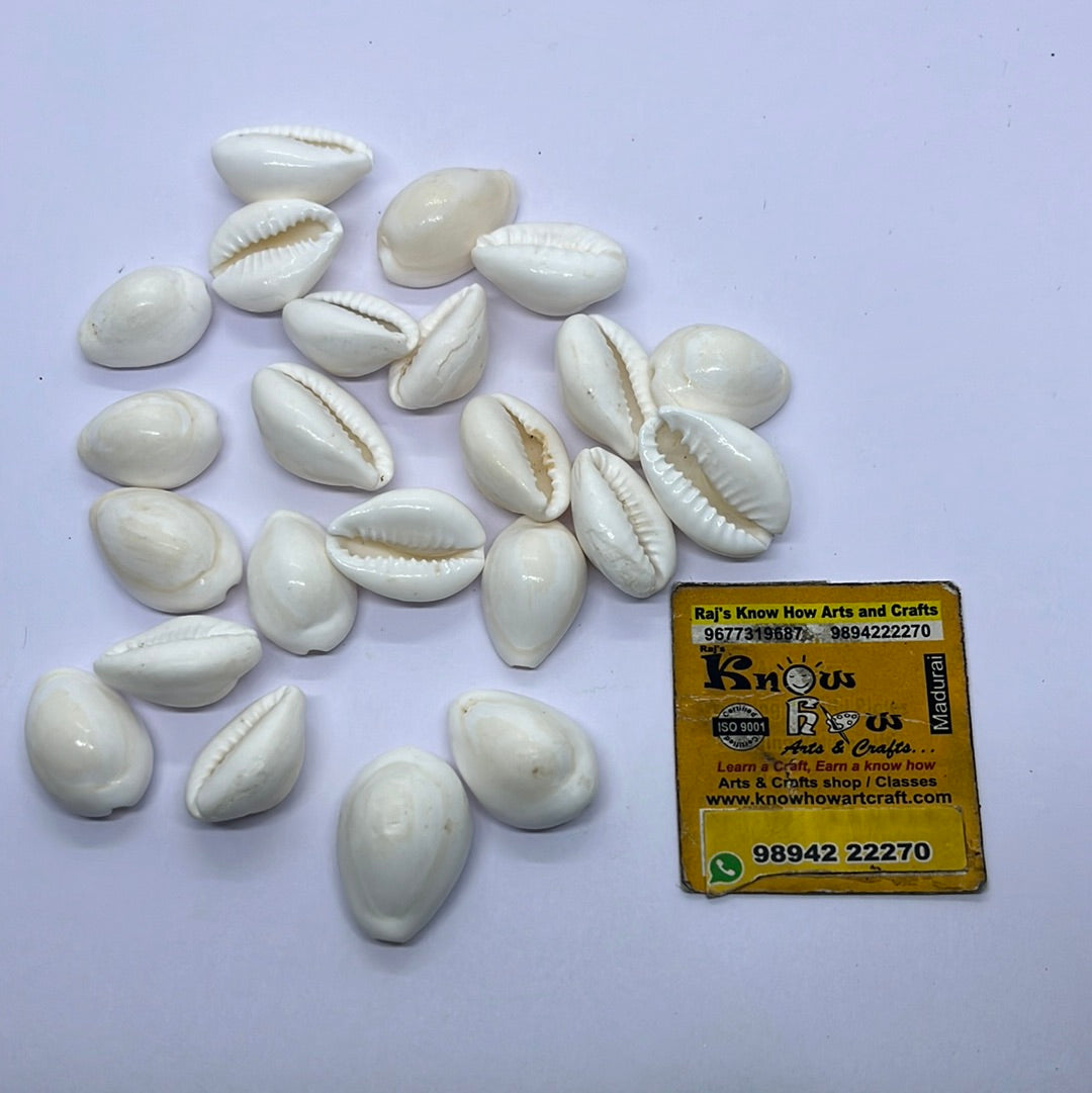 White chovi  Sea shell-50g pack