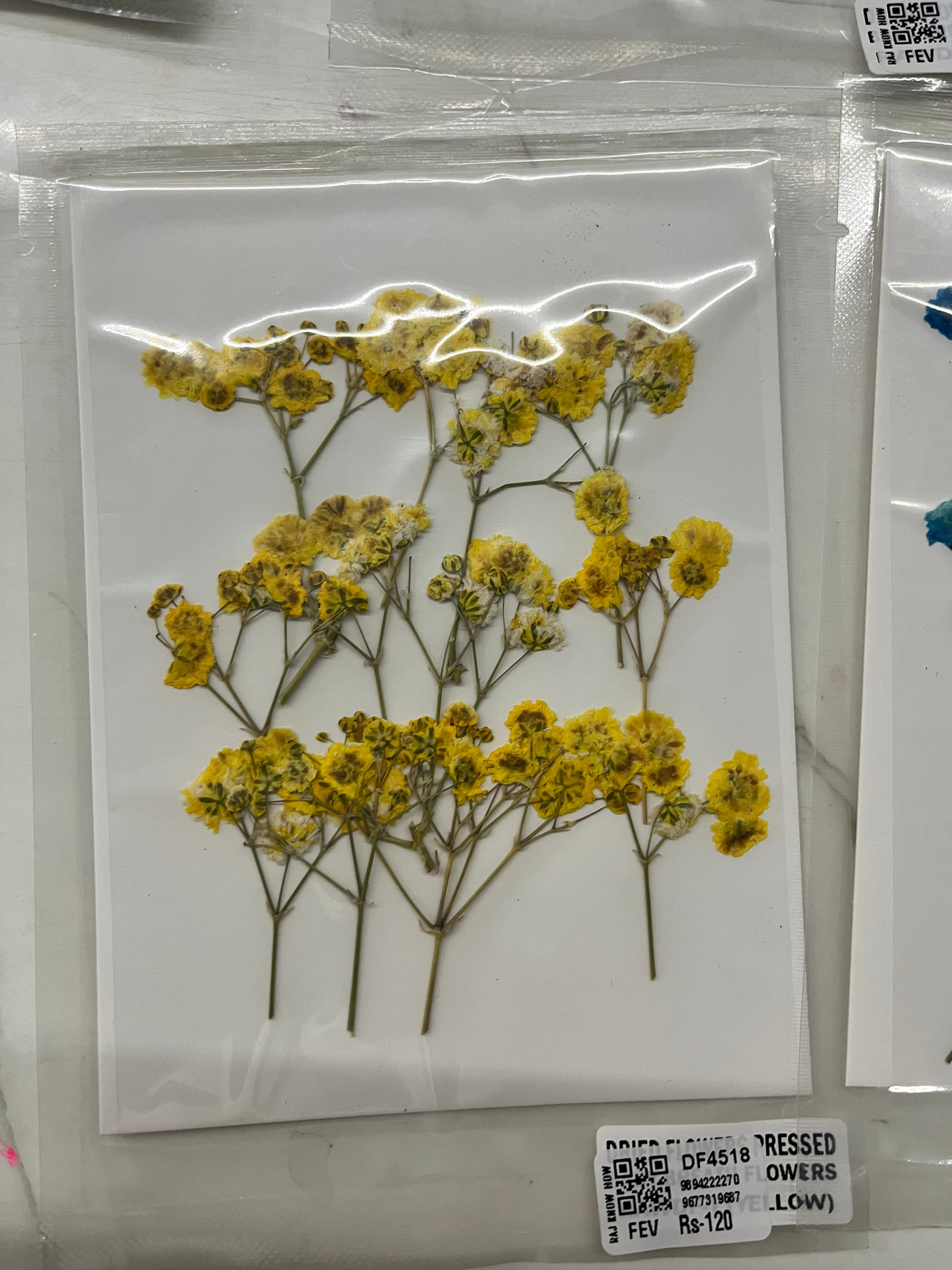 DRY FLOWER MINIATURE any 5 flowers kit-DF4518