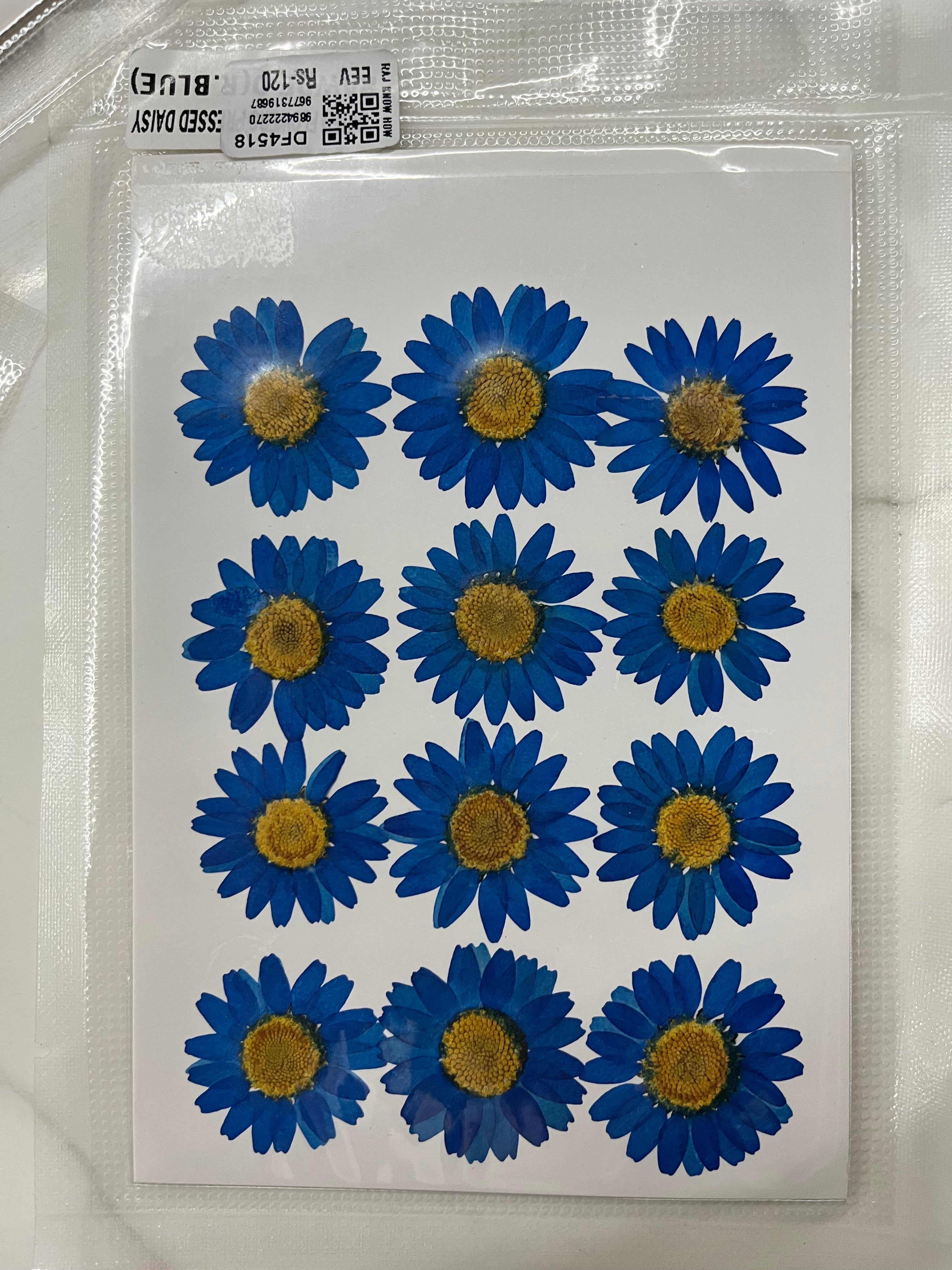 DRY FLOWER MINIATURE any 4 flowers kit-DF4518