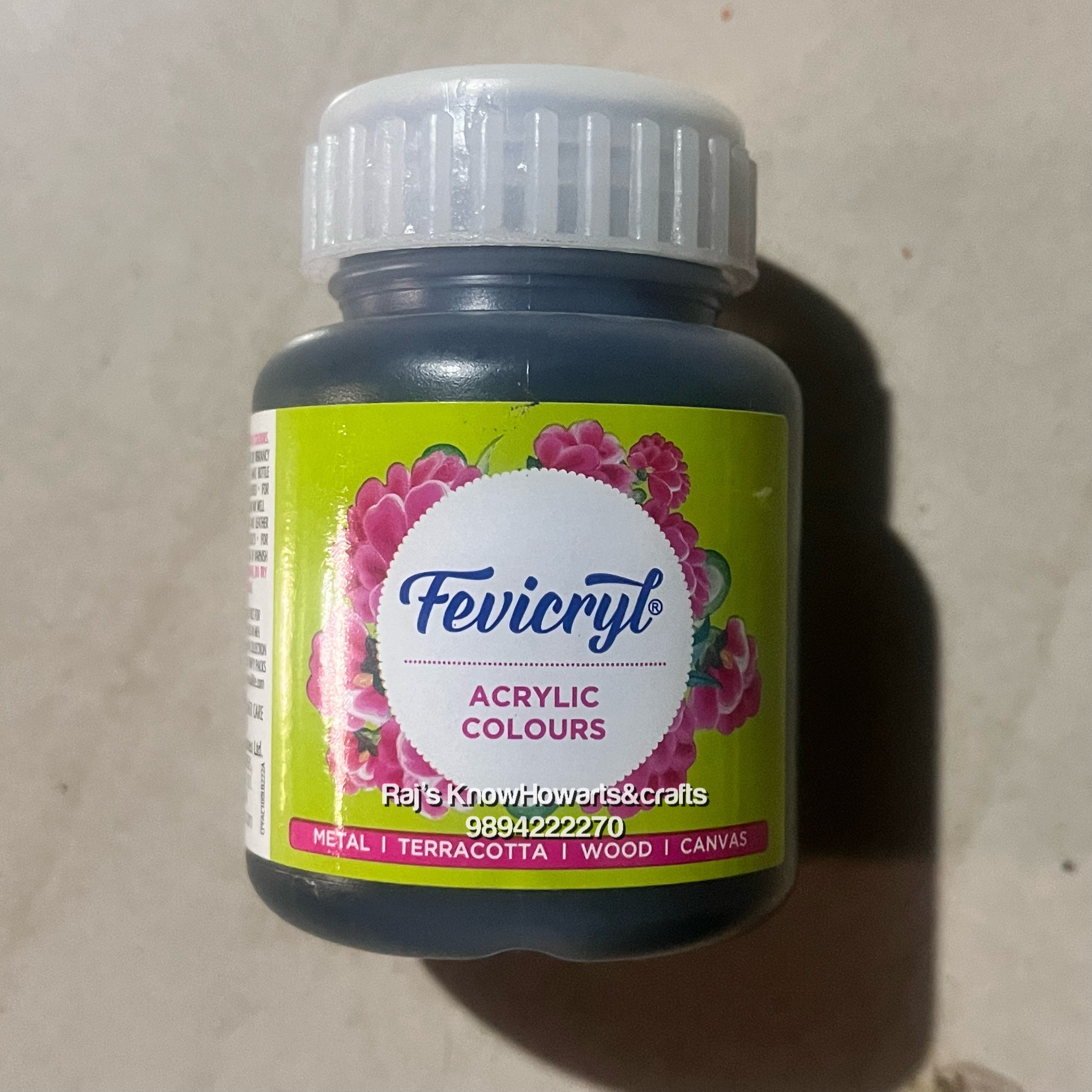 Black 100ml fevicryl Acrylic color -1 bottle