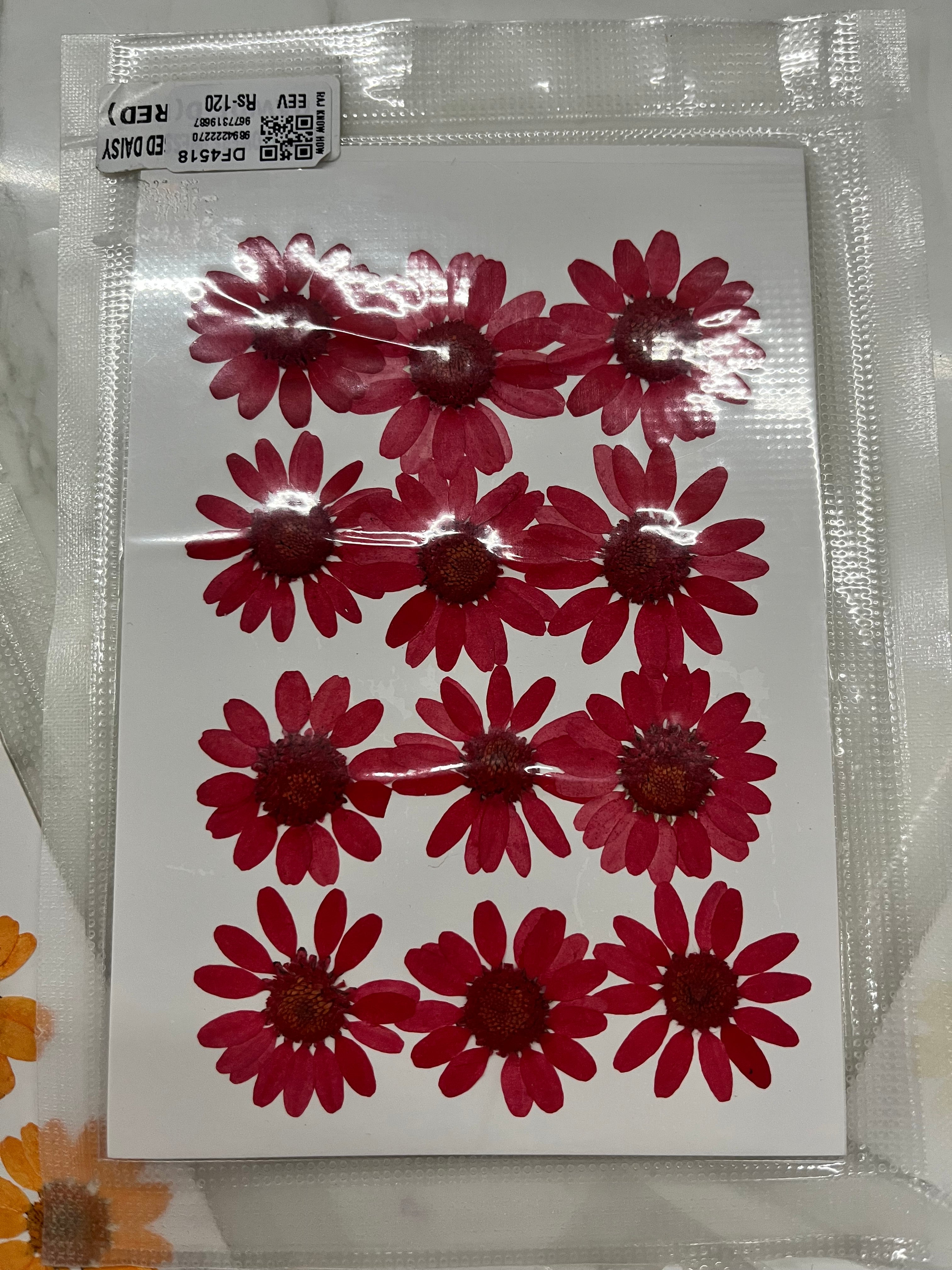 DRY FLOWER MINIATURE any 4 flowers kit-DF4518