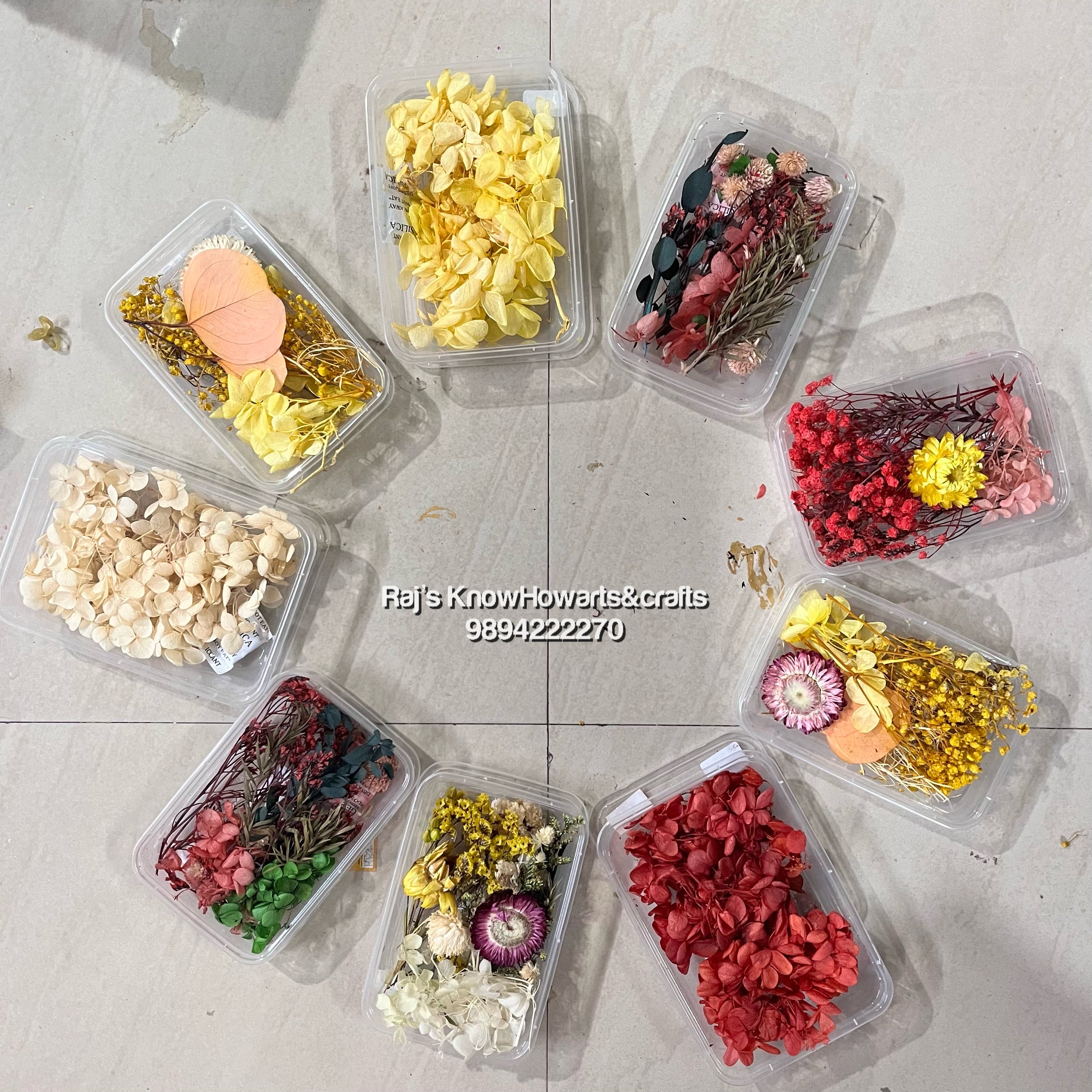 Assorted Dry flower colours - 1 pc