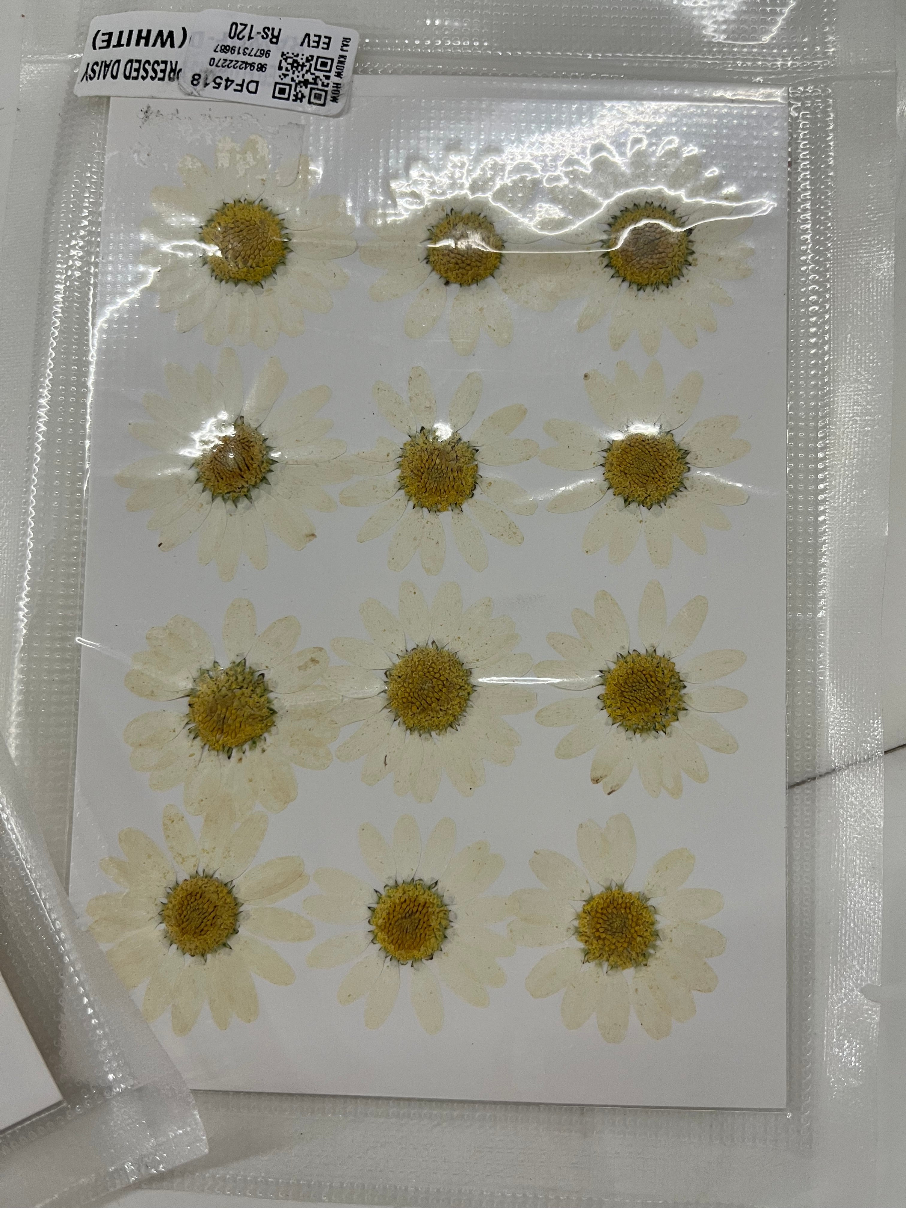 DRY FLOWER MINIATURE any 4 flowers kit-DF4518