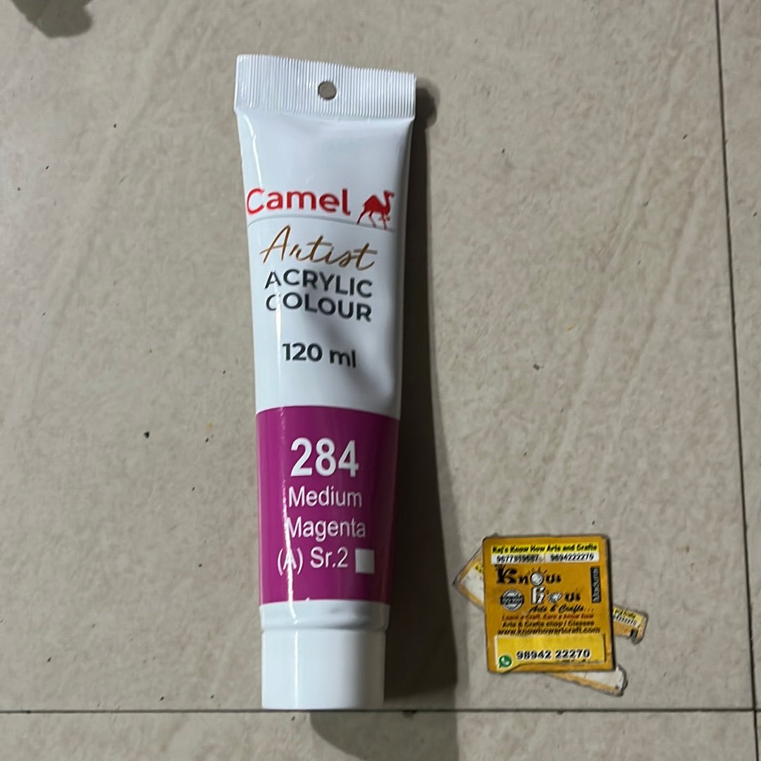 Medium magenta-120ml Camlin Artist range acrylic colours – KnowHowArtCraft