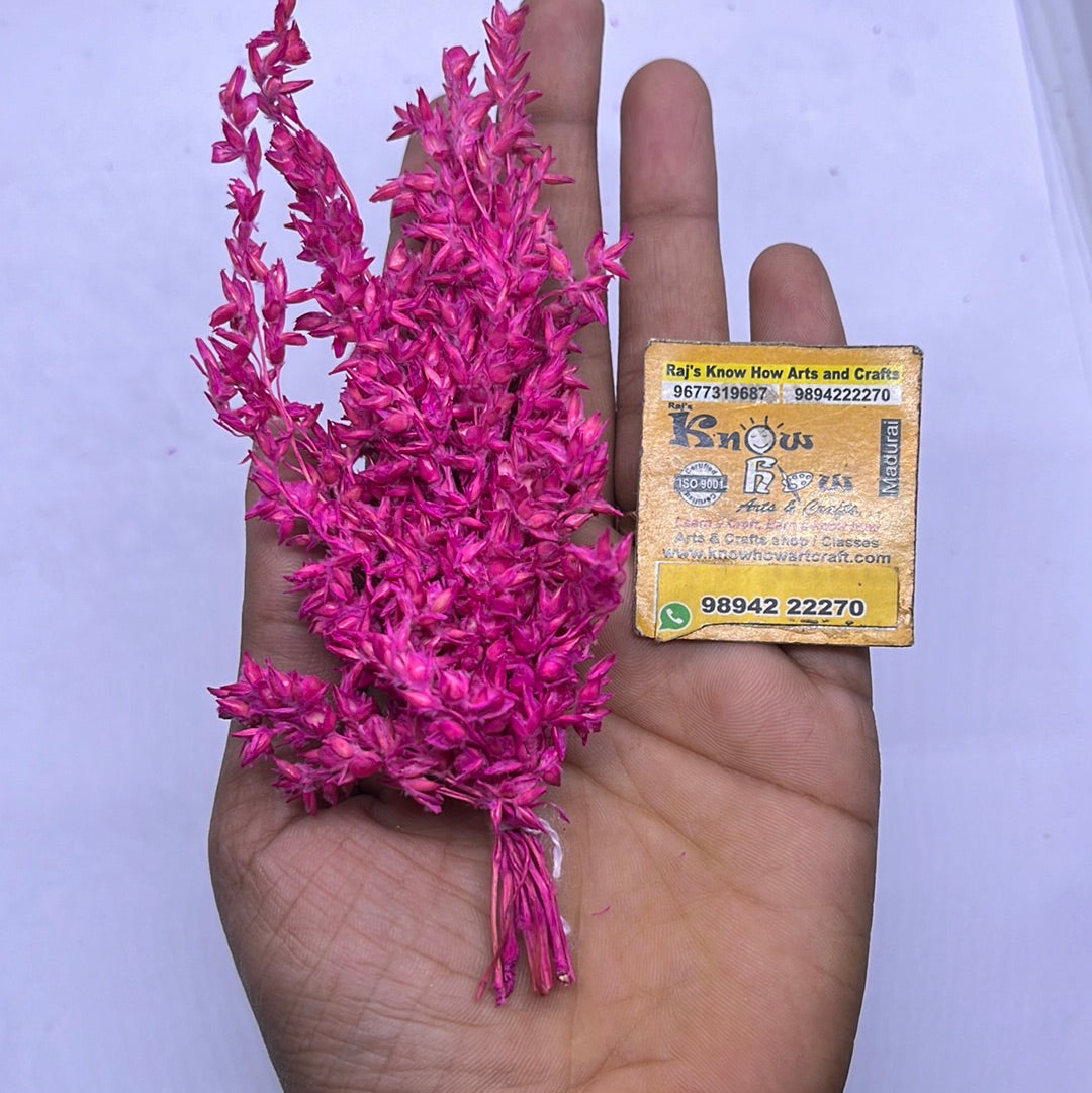 Dry flower pink 5pc in a pack
