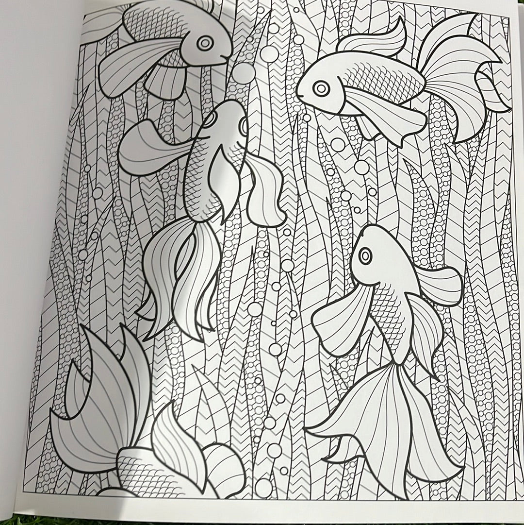Adult colouring book