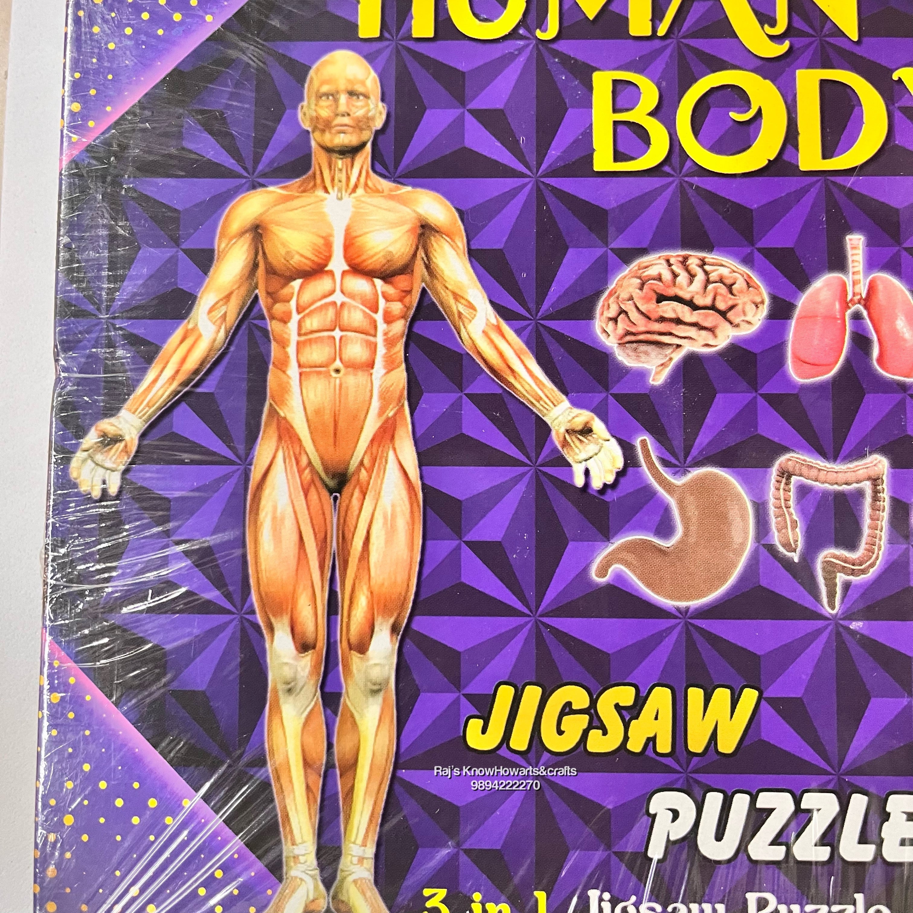 Human body Jigsaw Puzzle