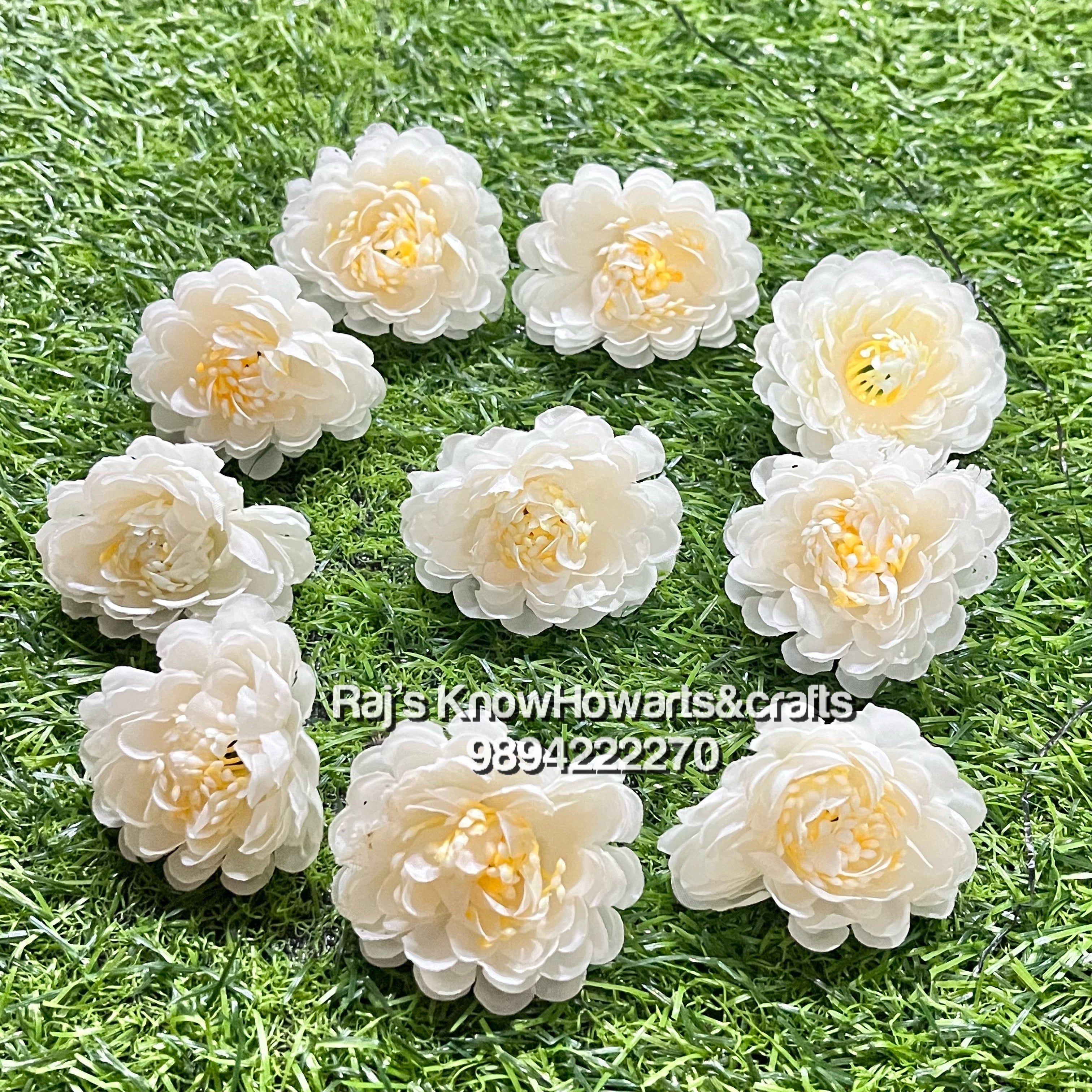 Dhalias white - 10 pc in a pack