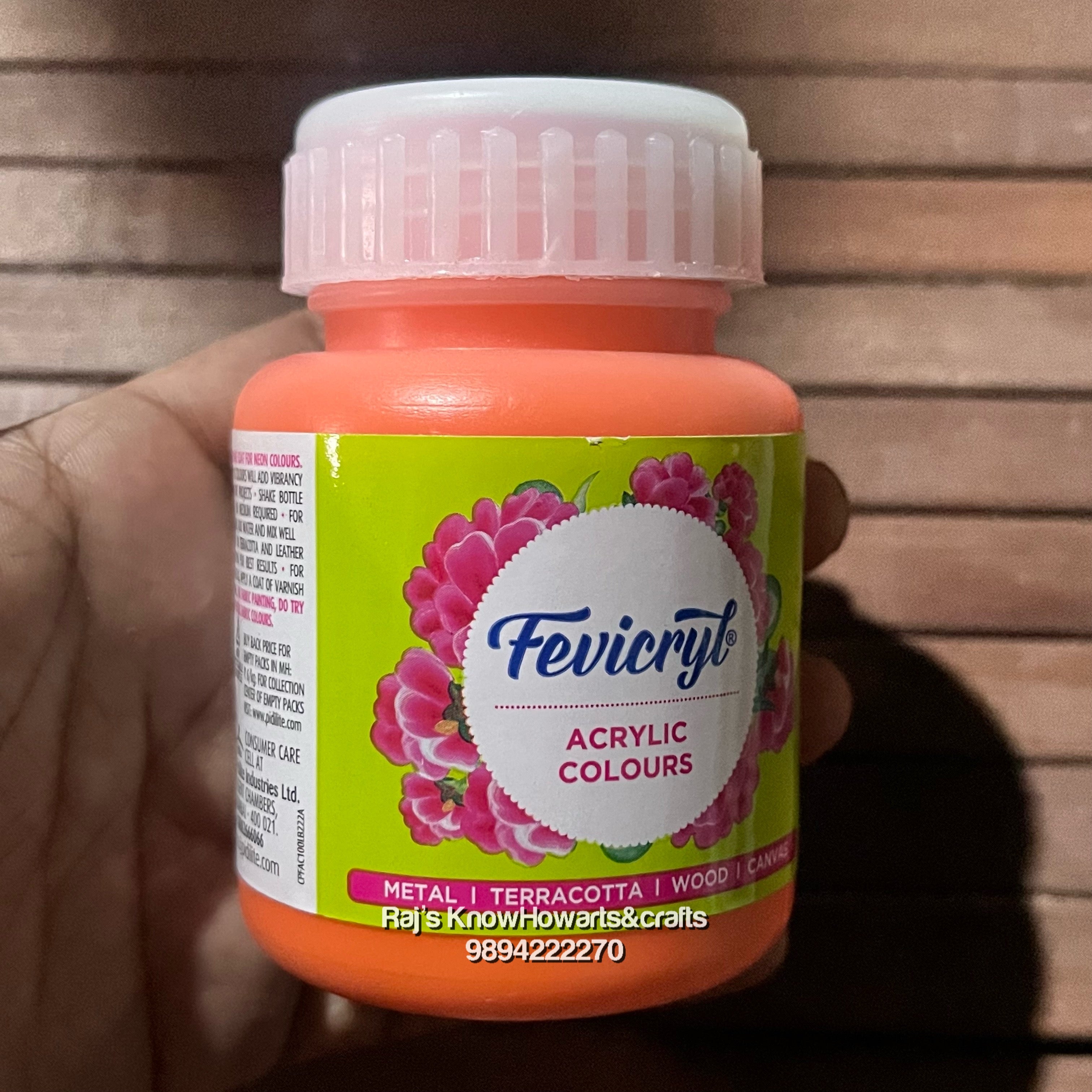 Orange 100ml fevicryl Acrylic color -1 bottle