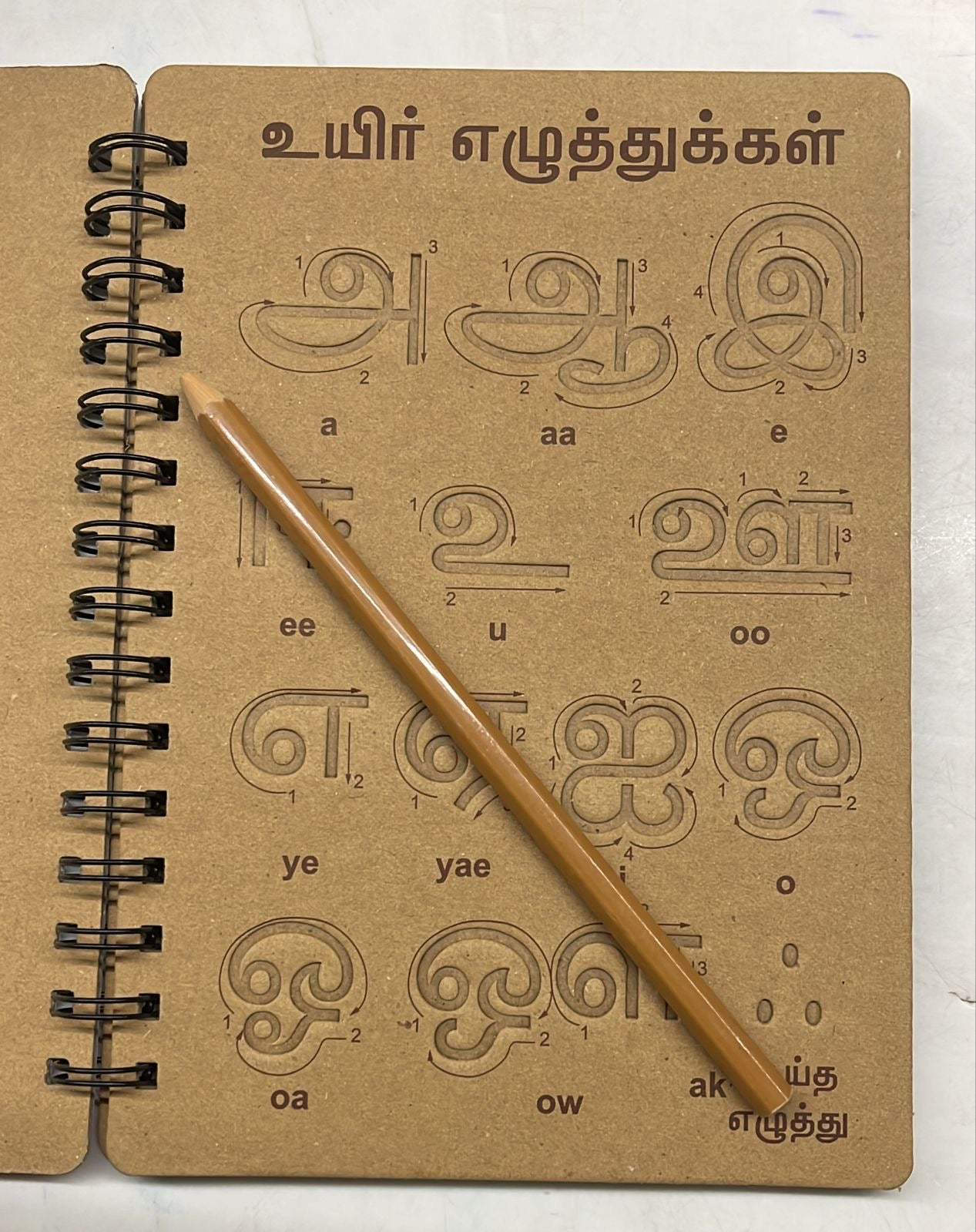 Polo writing stencil book assorted-1pack