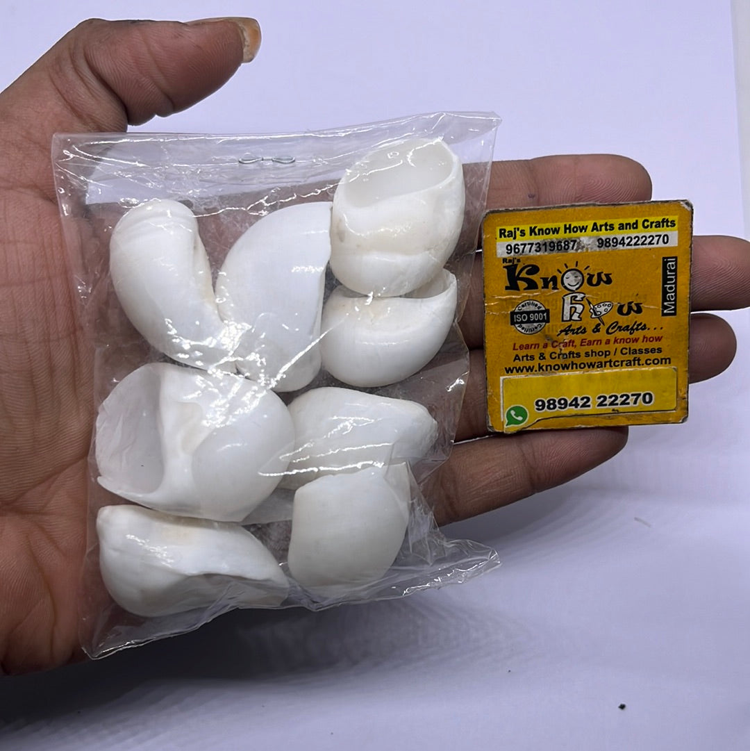 White Moon snail  shells-50g pack