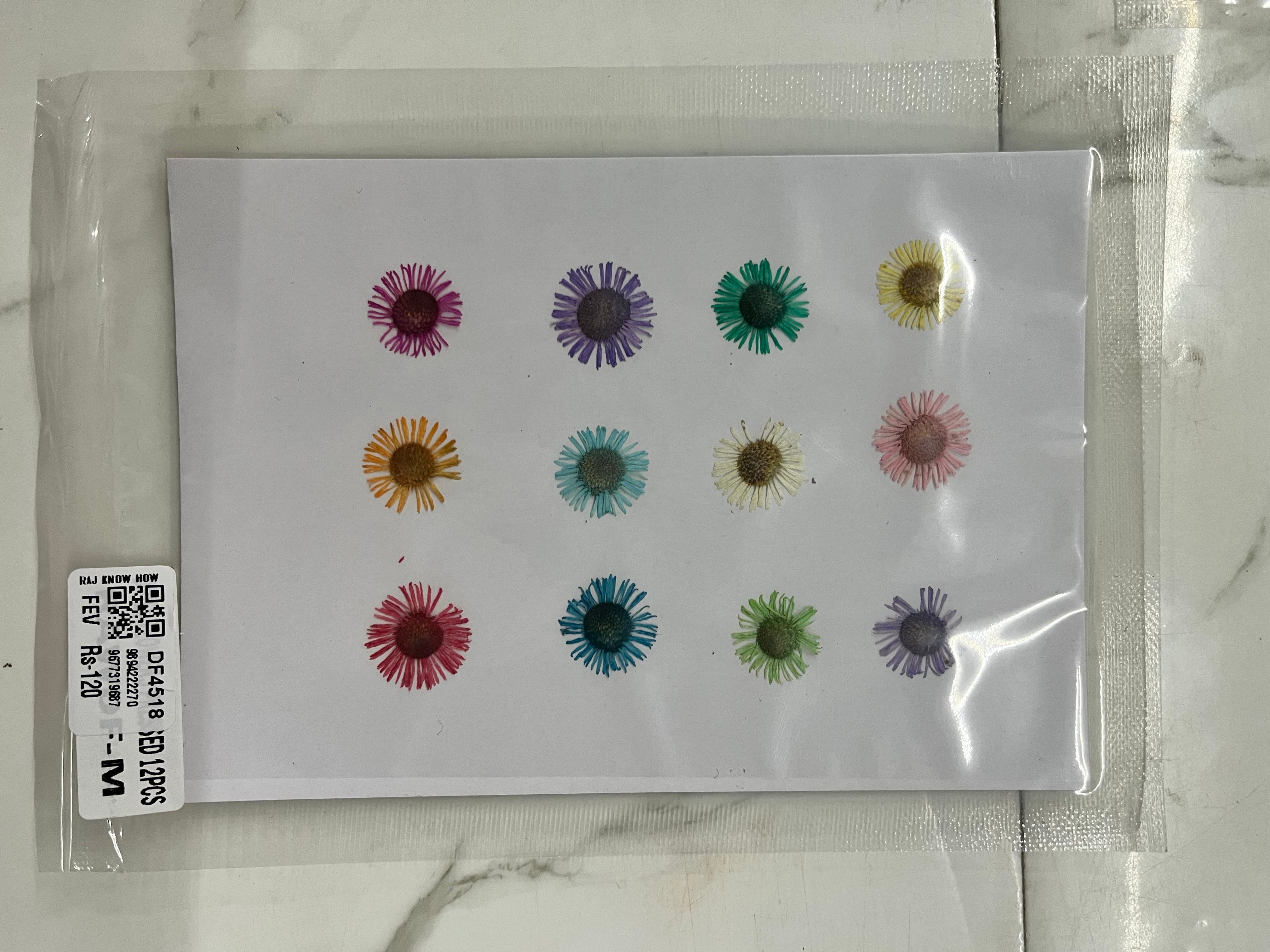 DRY FLOWER MINIATURE KIT-DF4518